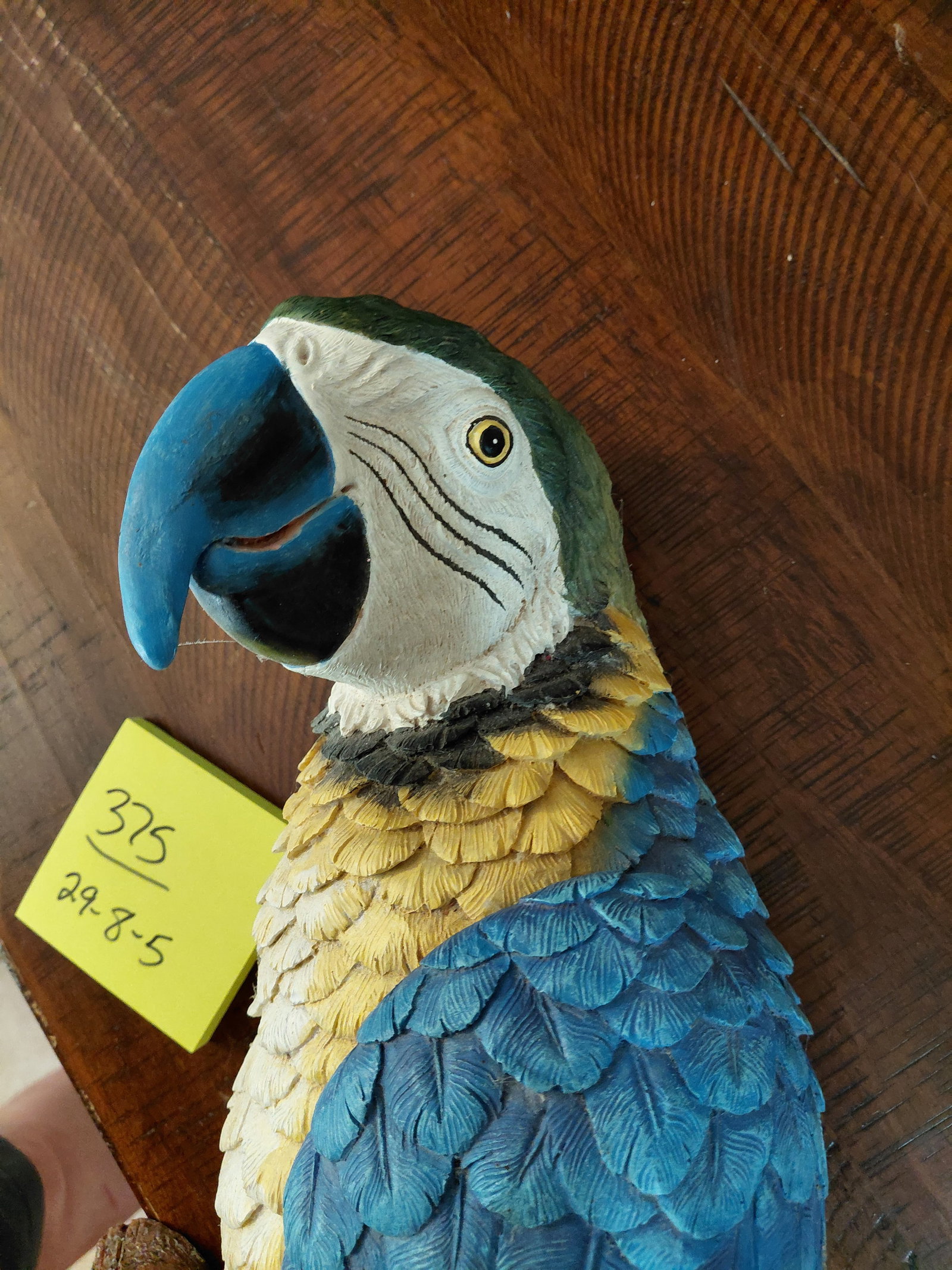 Large Parrot Wall Statue - 3