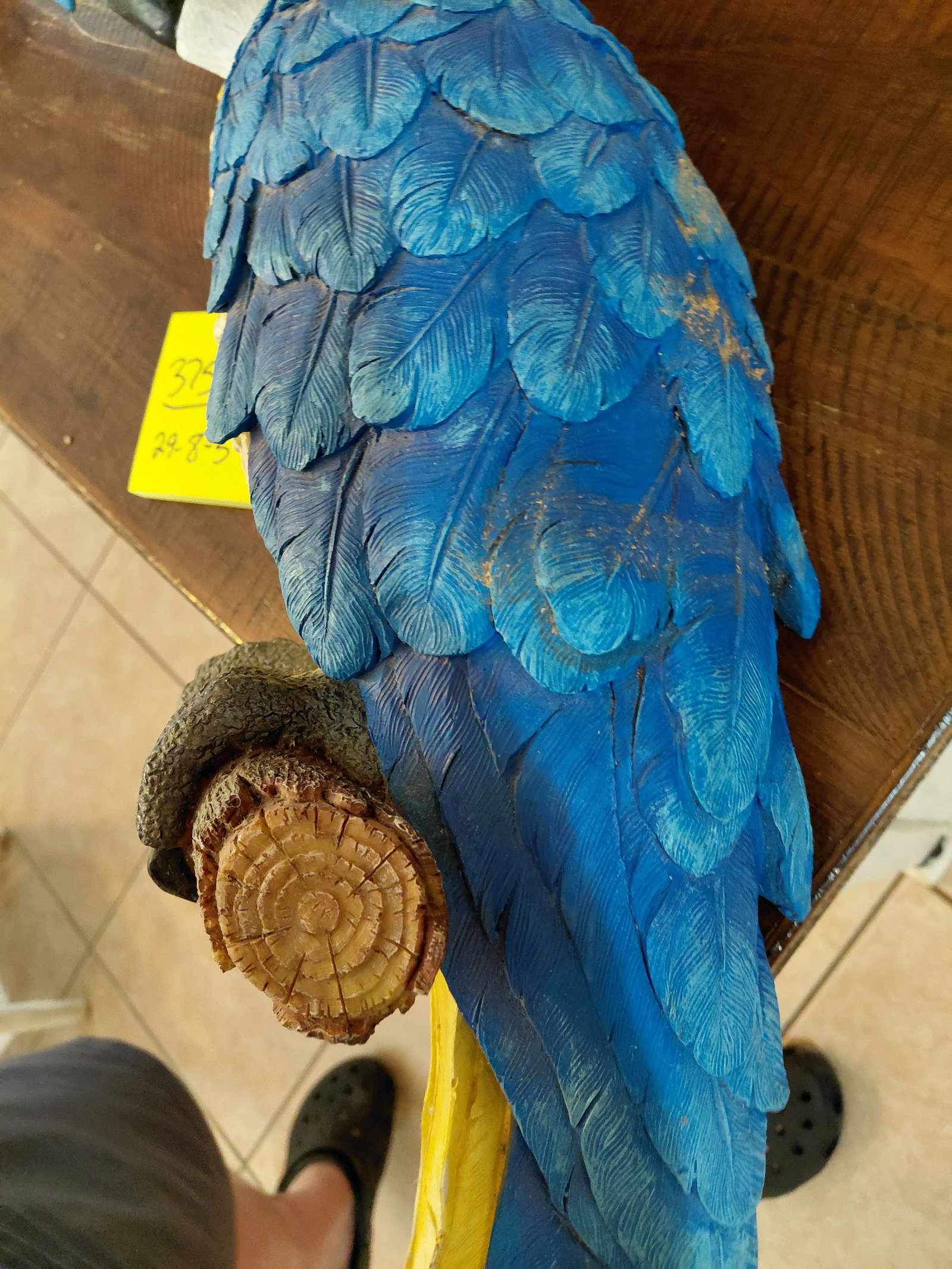 Large Parrot Wall Statue - 4