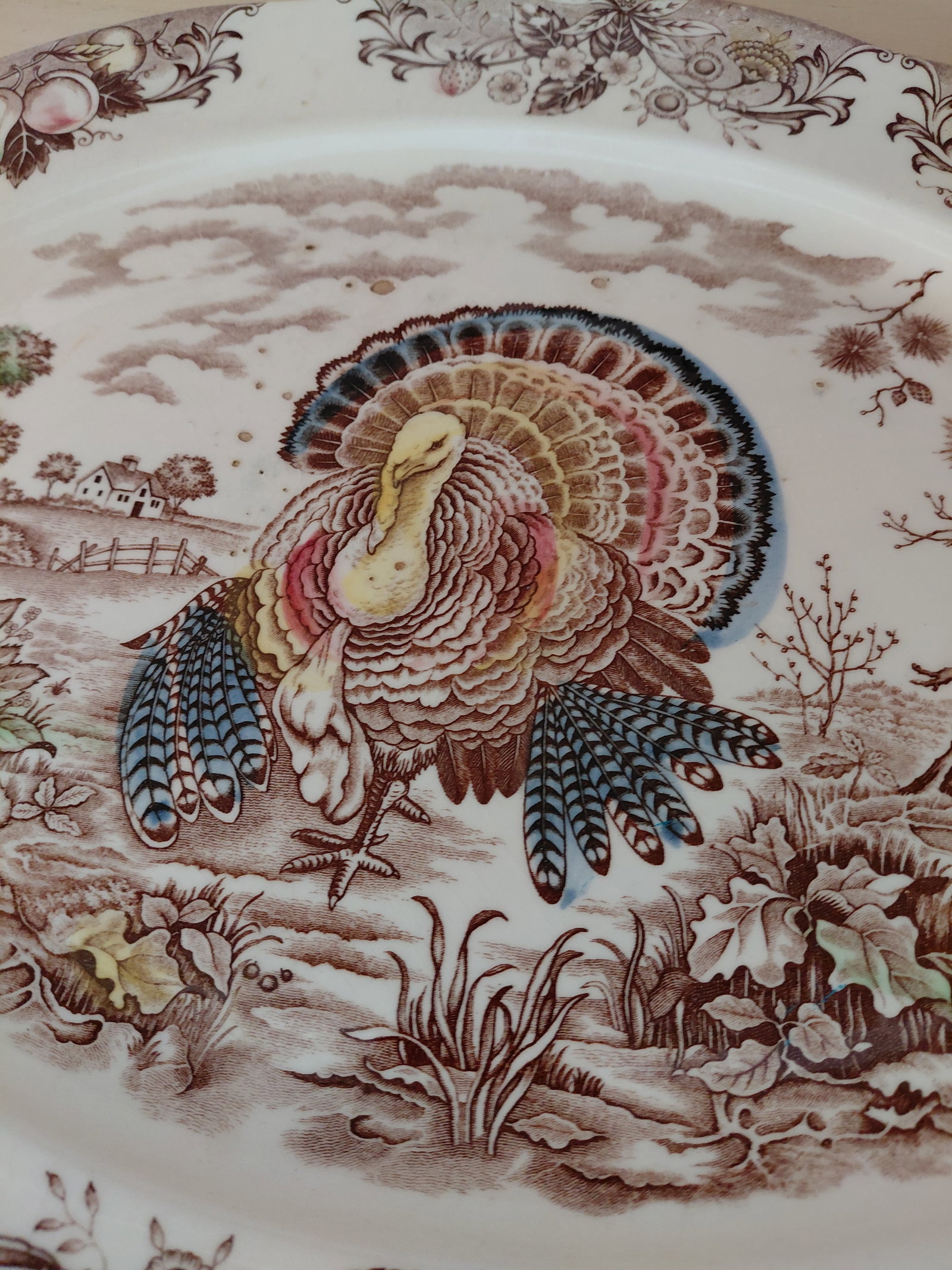 Large Turkey Platter/ As seen - 3