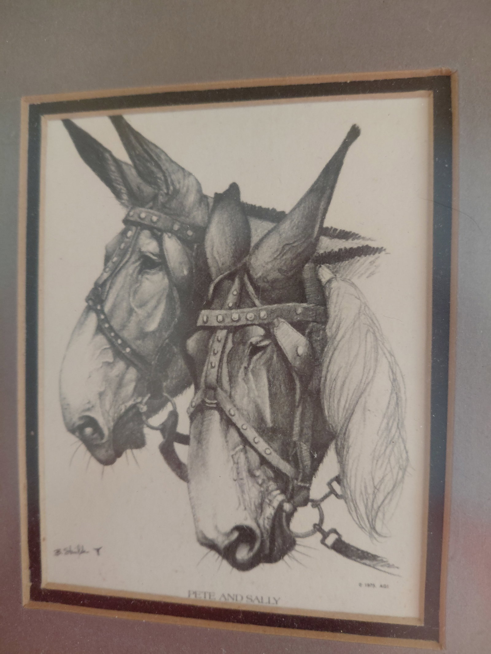 Vintage Pete & Sally Framed Print - 3