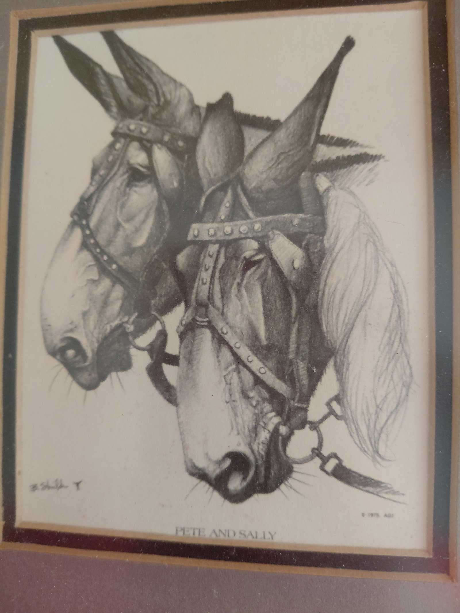 Vintage Pete & Sally Framed Print - 4