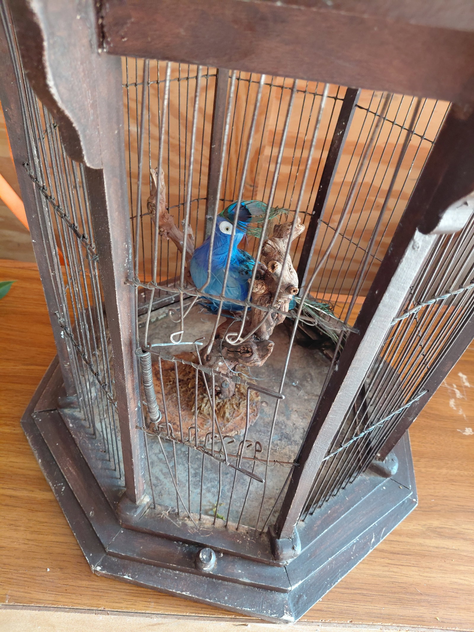 Rustic Bird Cage - 3