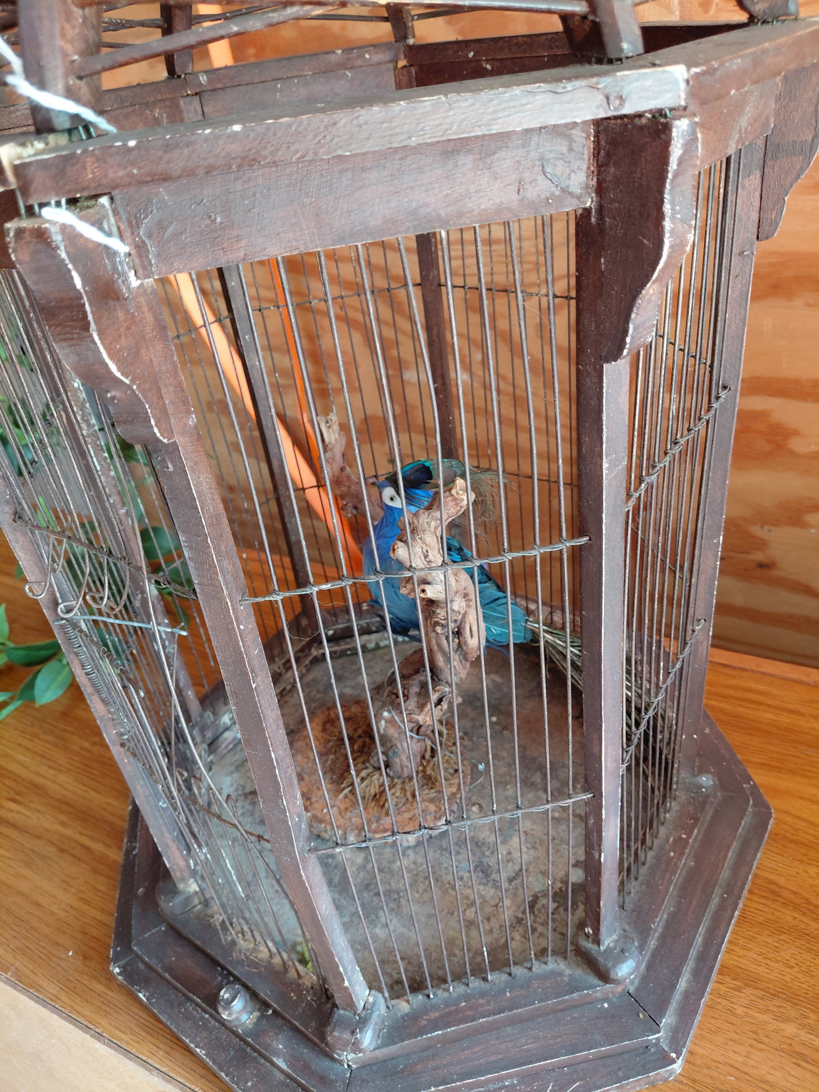 Rustic Bird Cage - 4