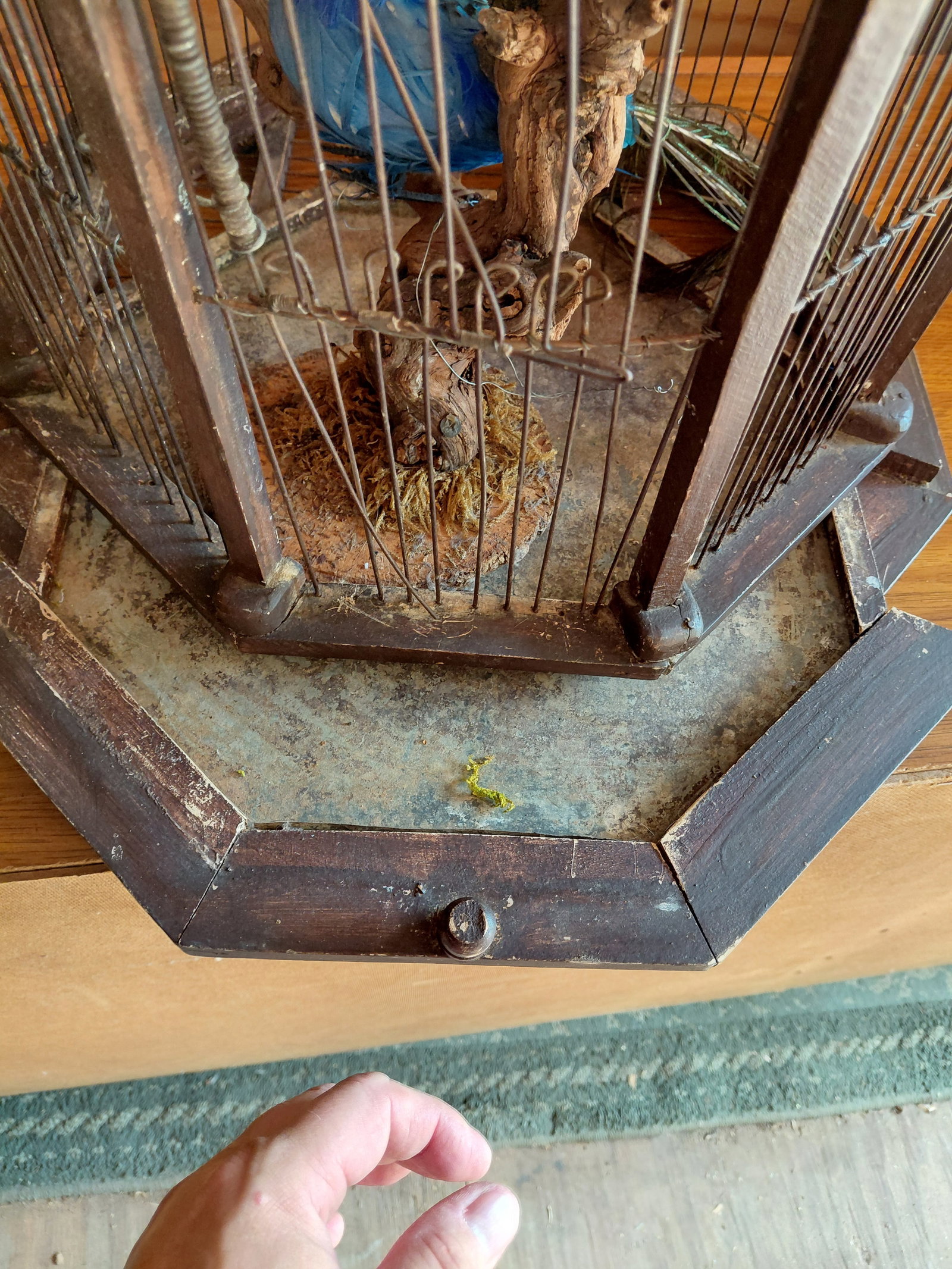 Rustic Bird Cage - 5