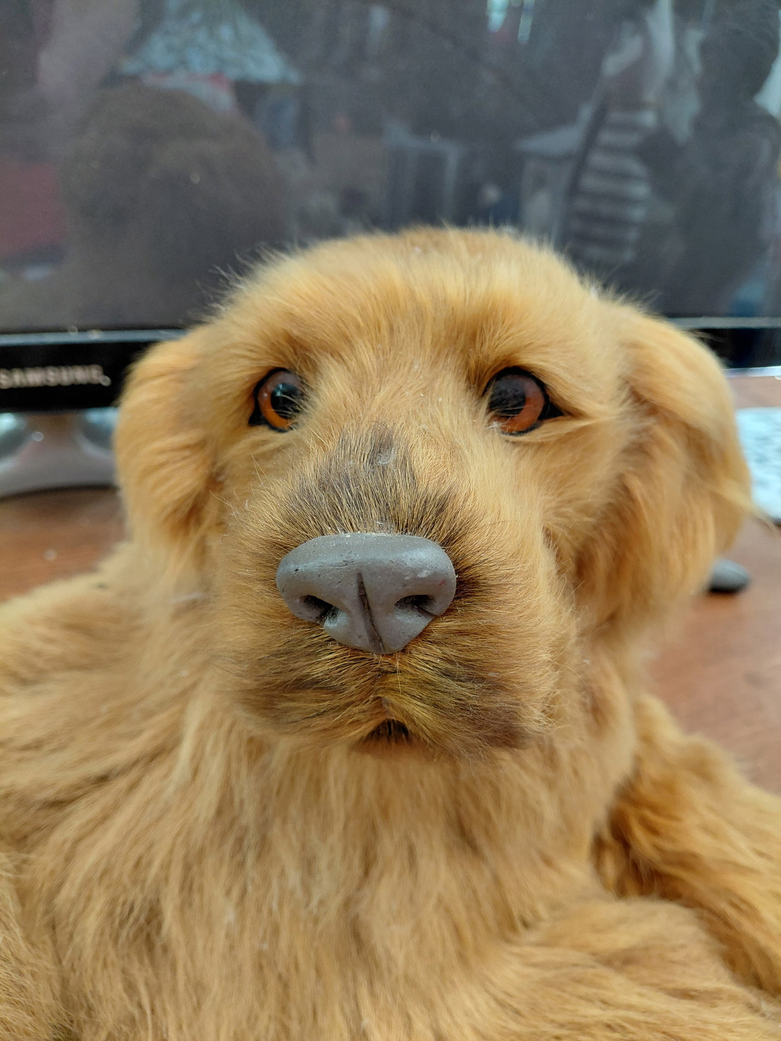 Realistic Dog Statue / some wear as seen - 3