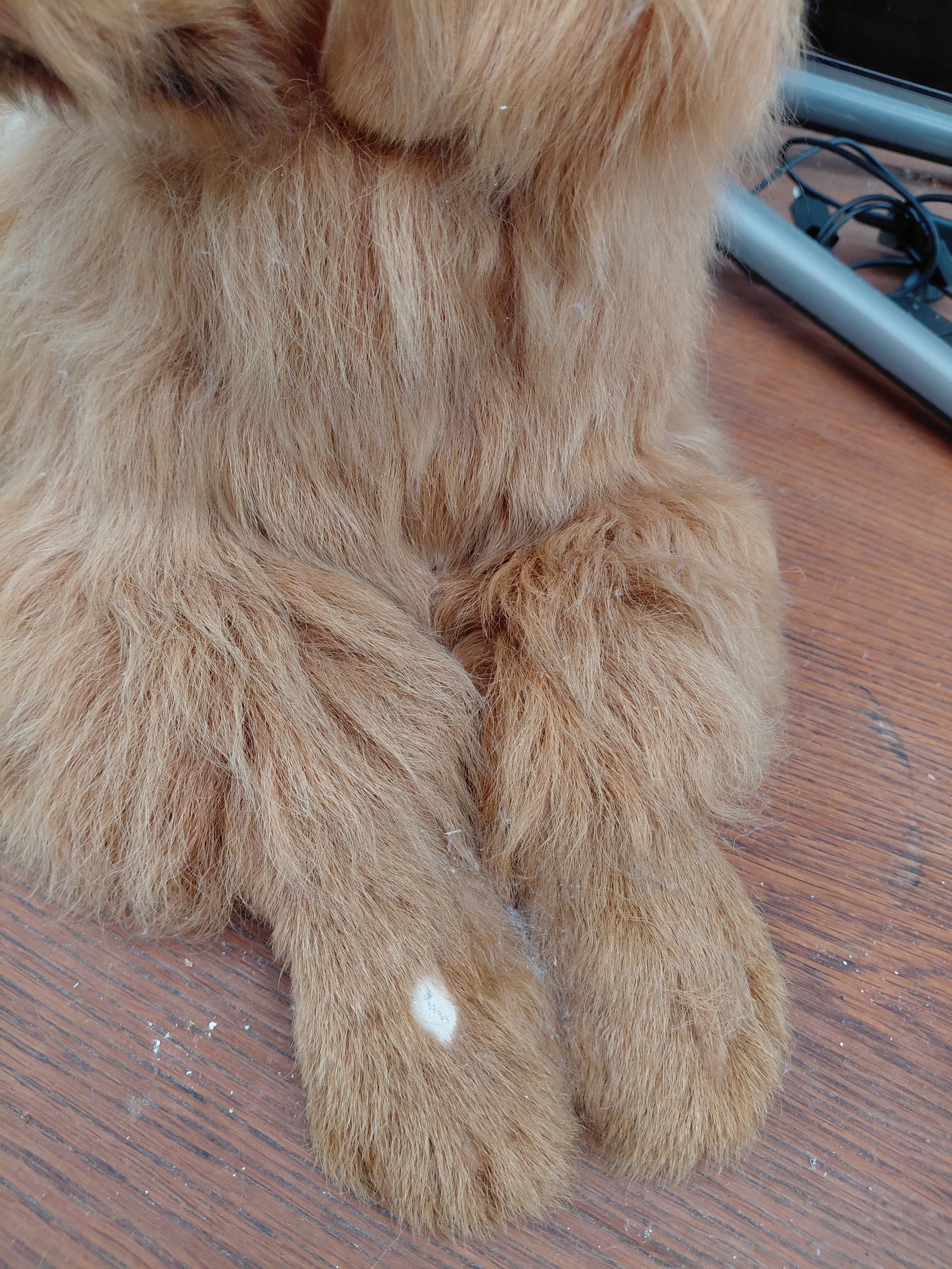 Realistic Dog Statue / some wear as seen - 4