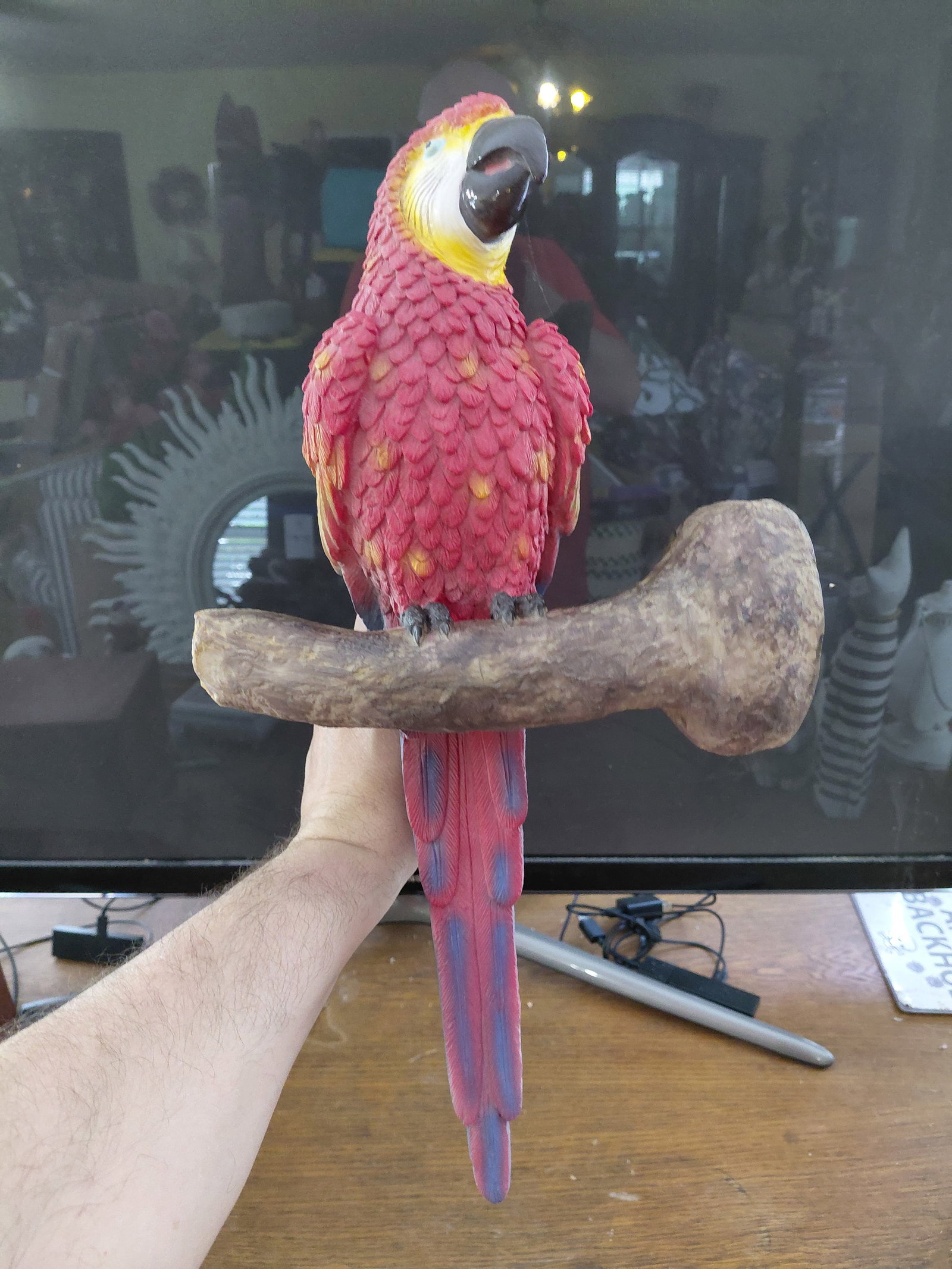 Large Resin Parrot Wall Statue: Large Resin Parrot Wall Statue