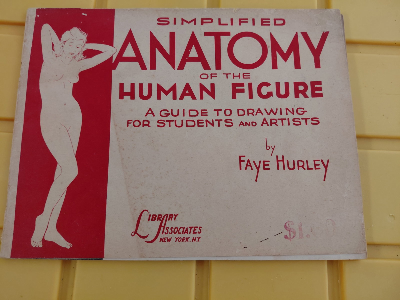 Vintage Simplified Anatomy Instructional Book: Vintage Simplified Anatomy Instructional Book