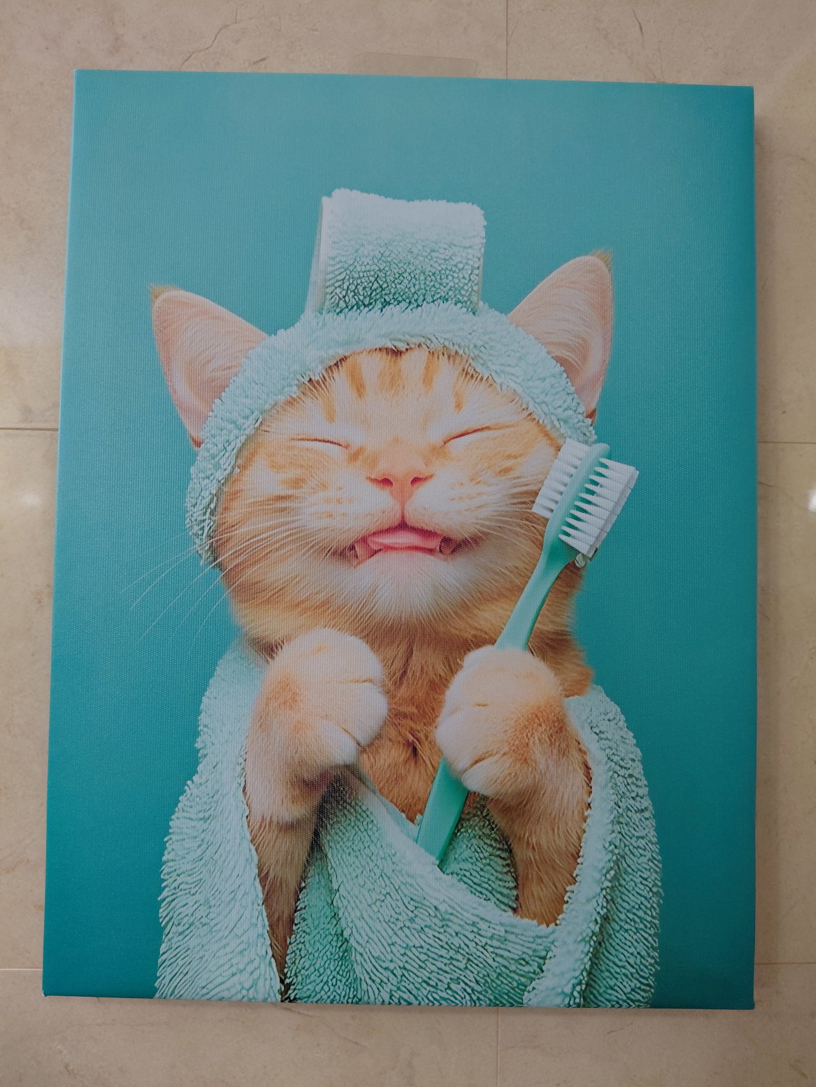 Cute Cat Bathroom Canvas Art: Cute Cat Bathroom Canvas Art