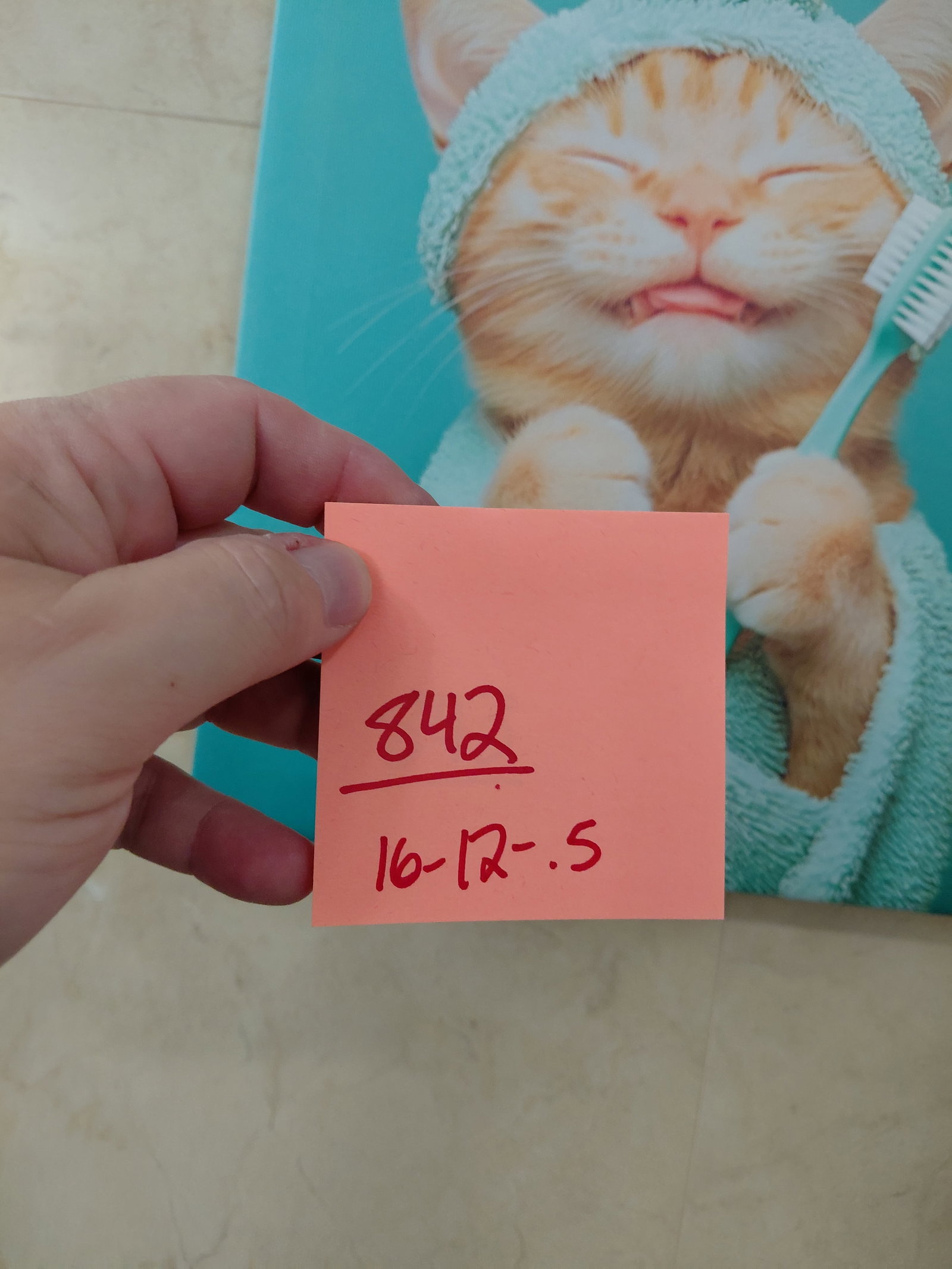 Cute Cat Bathroom Canvas Art - 2