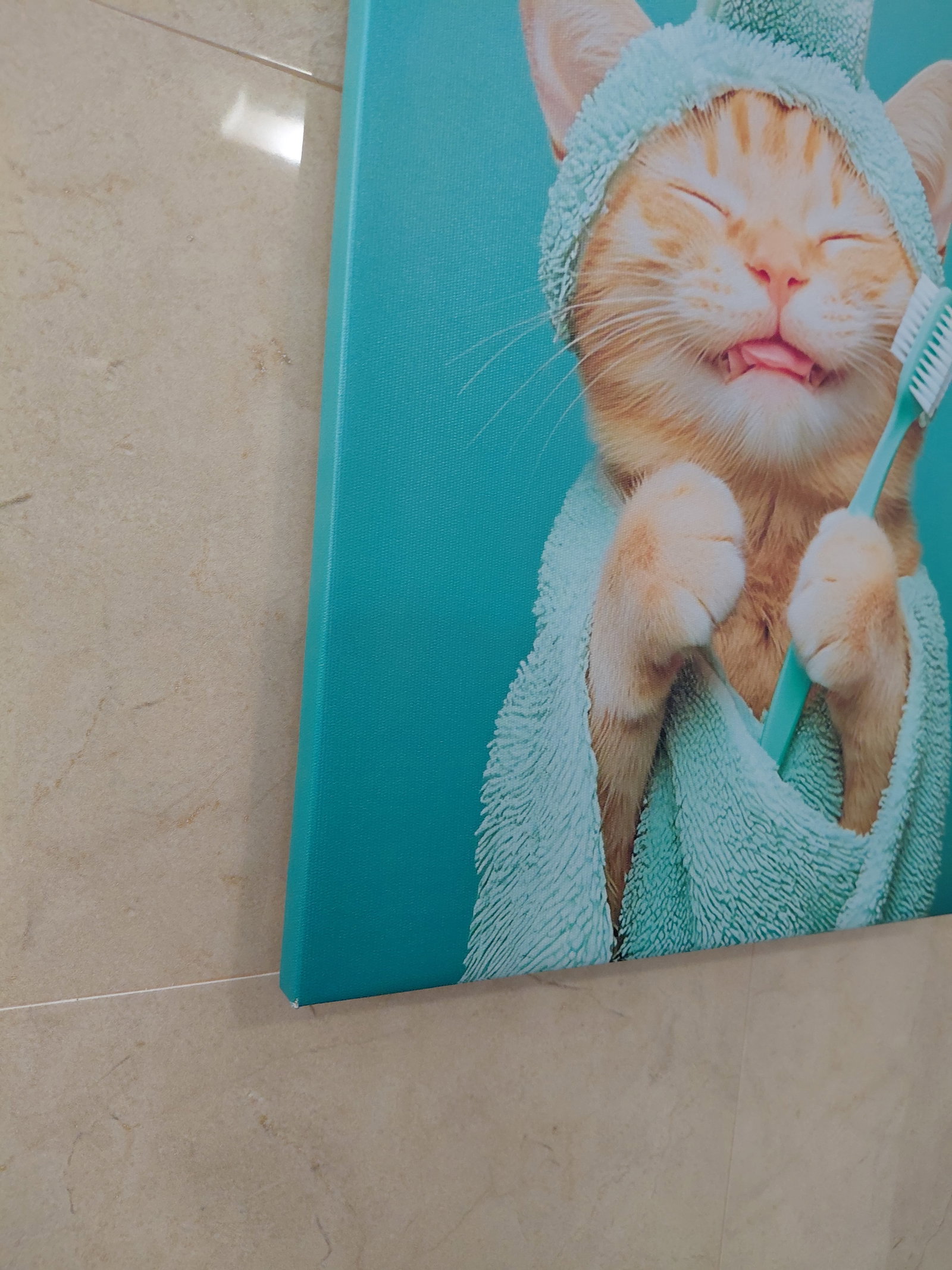 Cute Cat Bathroom Canvas Art - 3