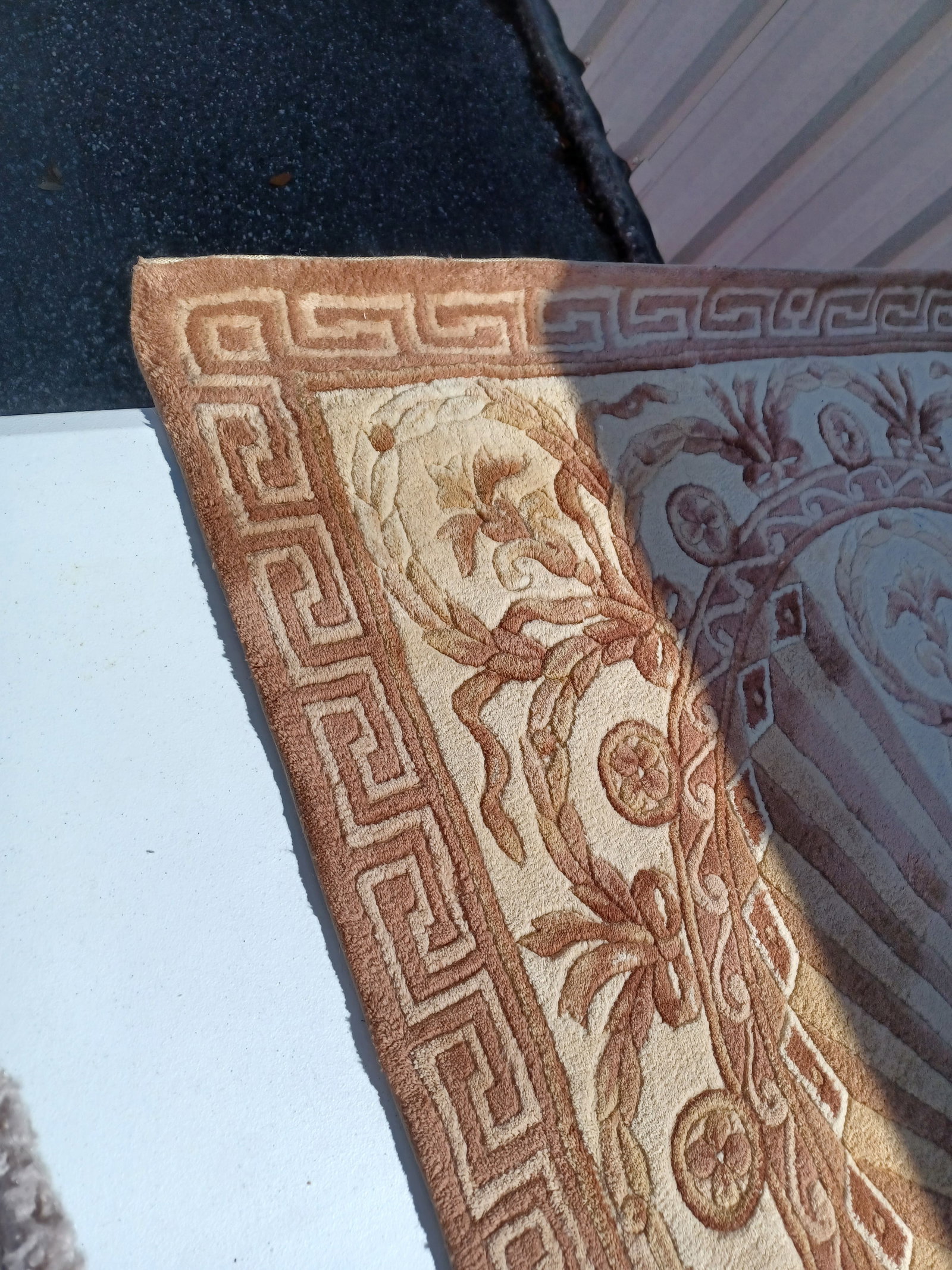 Beautiful Wool Sculpted Area Rug - 10