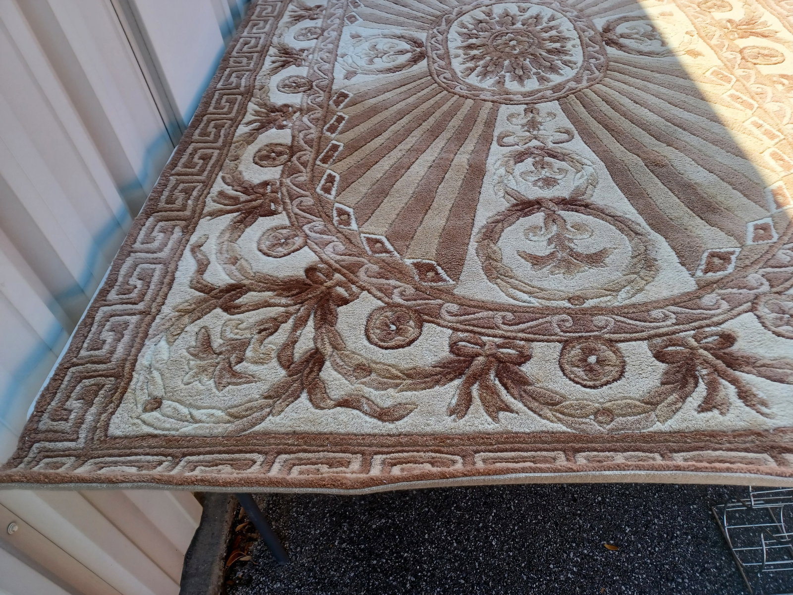 Beautiful Wool Sculpted Area Rug - 11