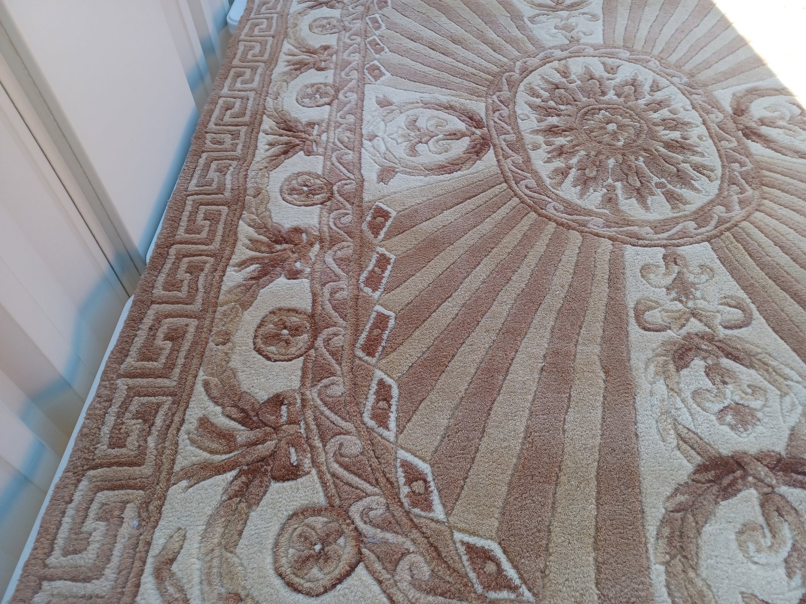 Beautiful Wool Sculpted Area Rug - 12