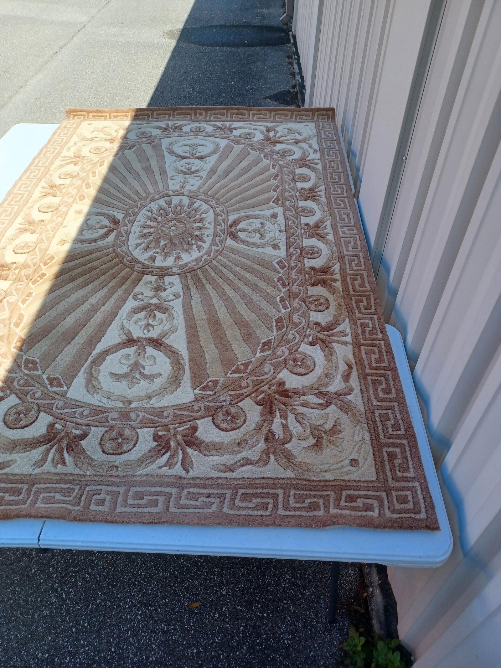 Beautiful Wool Sculpted Area Rug: Beautiful Wool Sculpted Area Rug