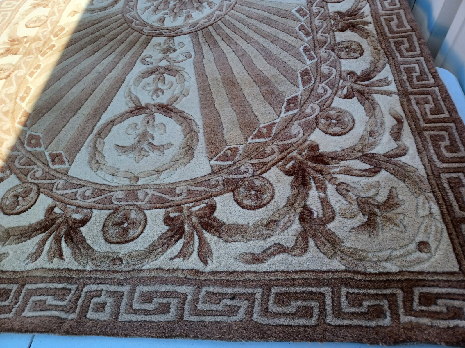 Beautiful Wool Sculpted Area Rug - 3