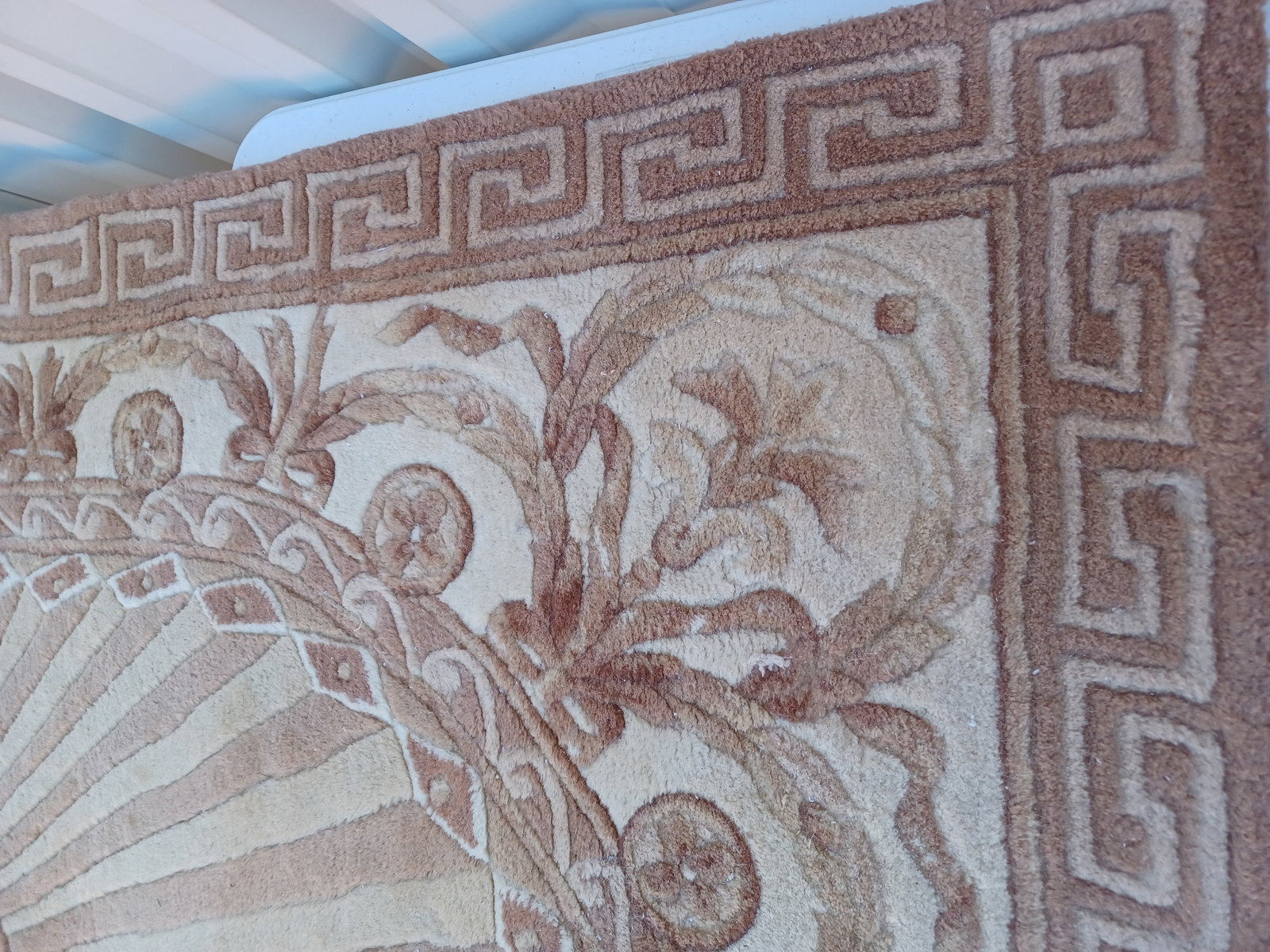 Beautiful Wool Sculpted Area Rug - 4