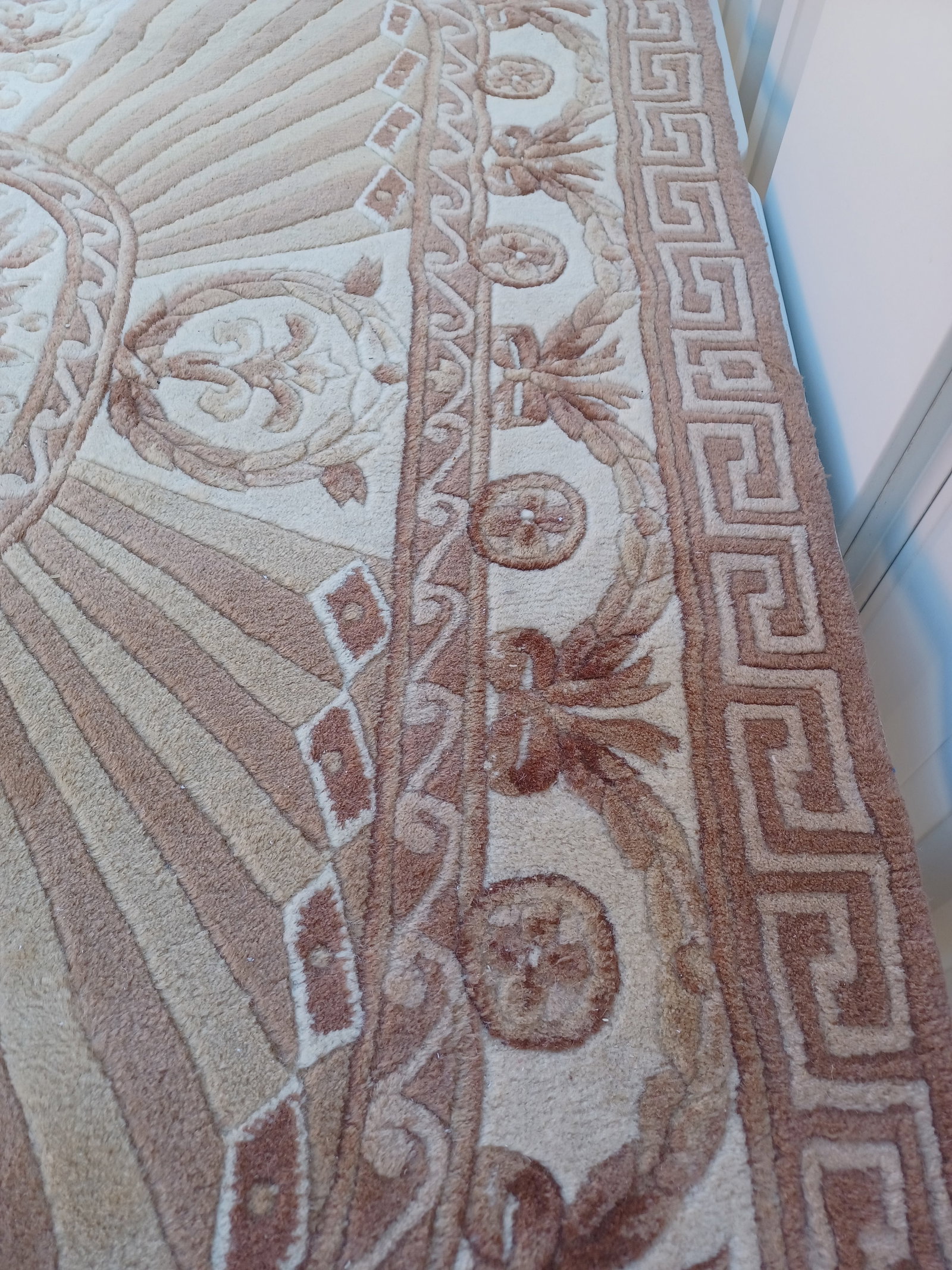 Beautiful Wool Sculpted Area Rug - 5