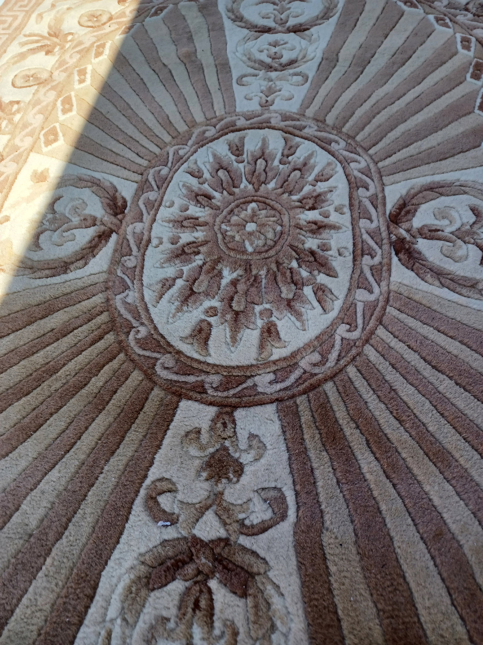 Beautiful Wool Sculpted Area Rug - 6