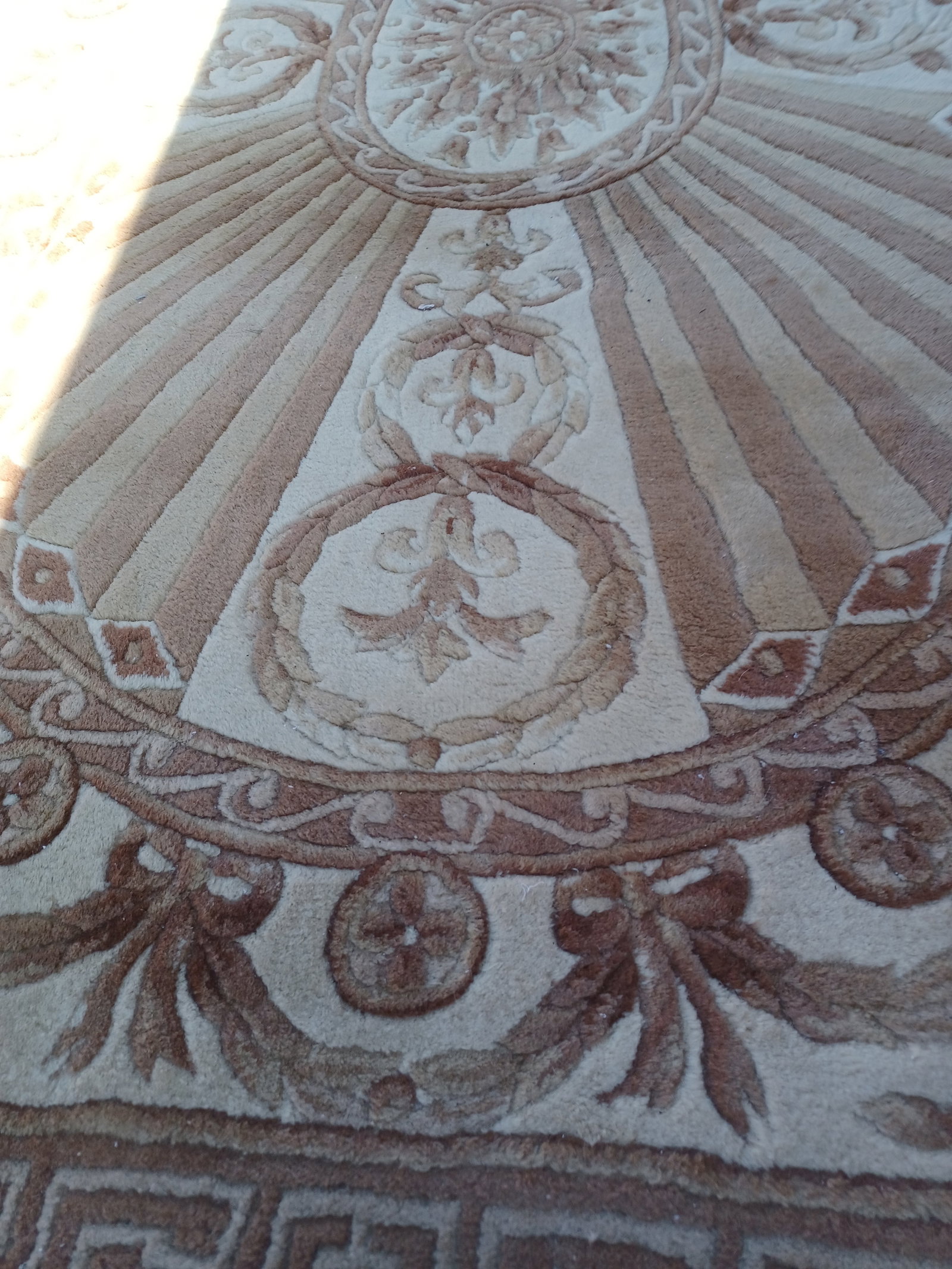 Beautiful Wool Sculpted Area Rug - 7