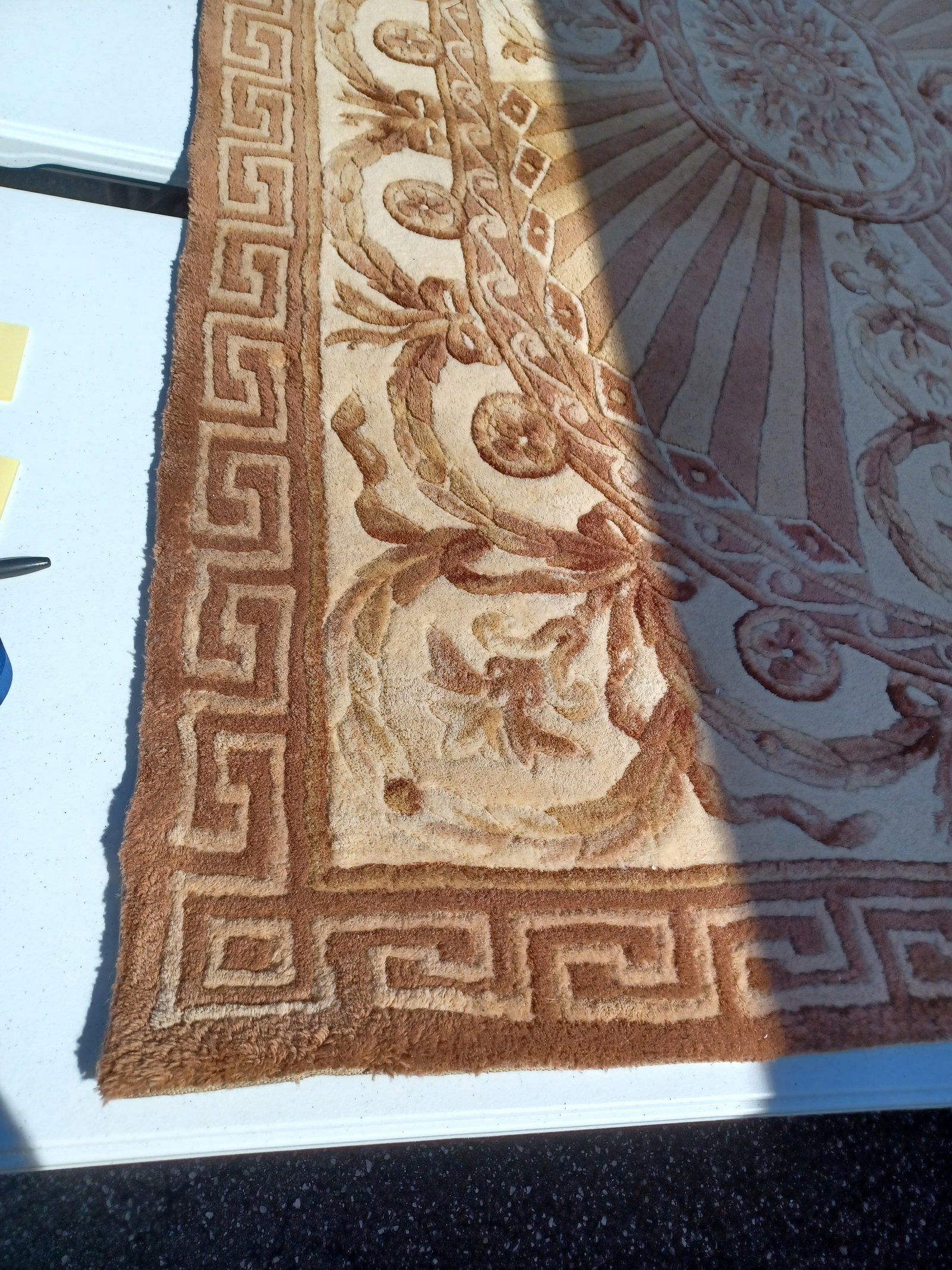Beautiful Wool Sculpted Area Rug - 8