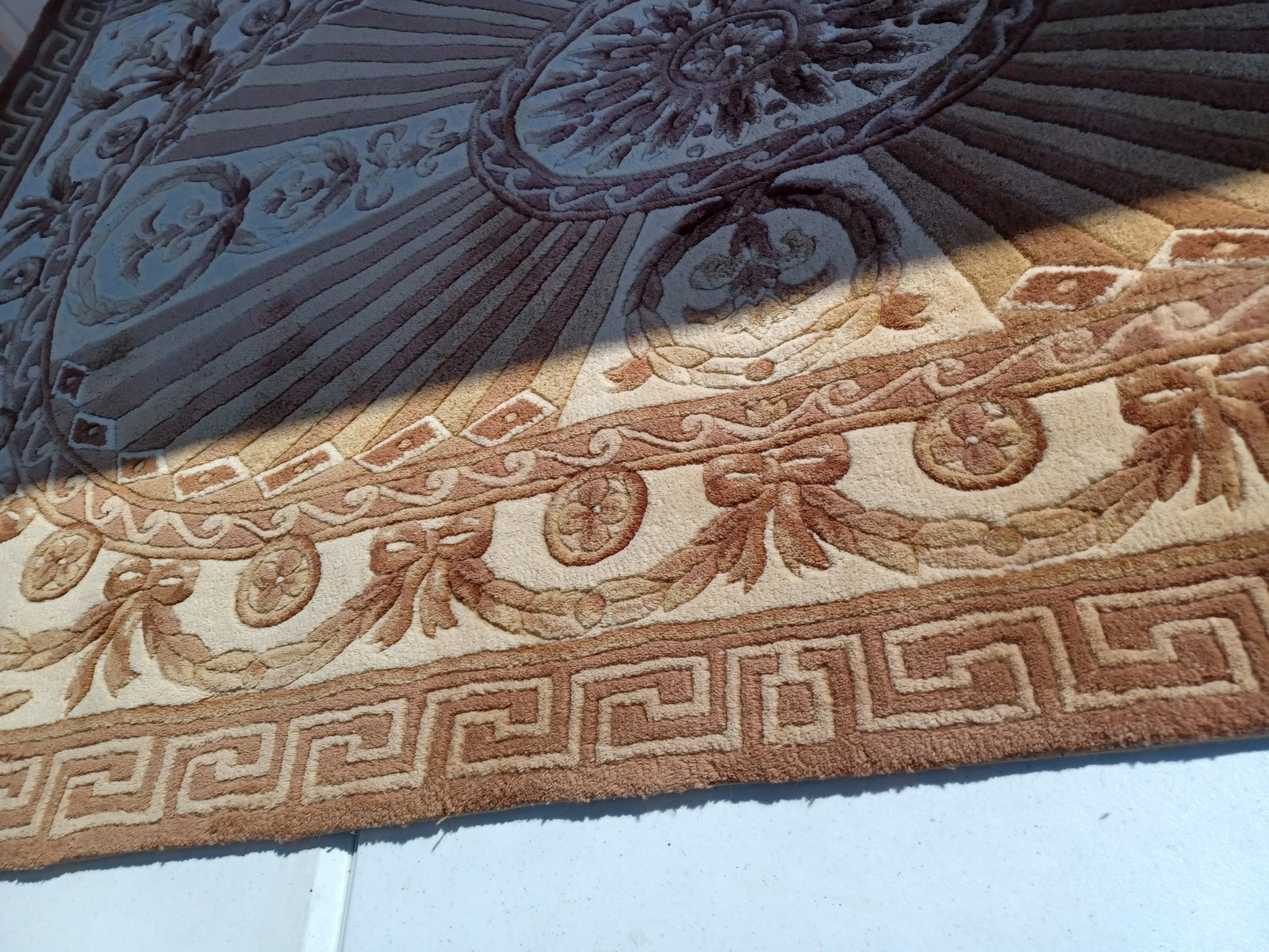 Beautiful Wool Sculpted Area Rug - 9