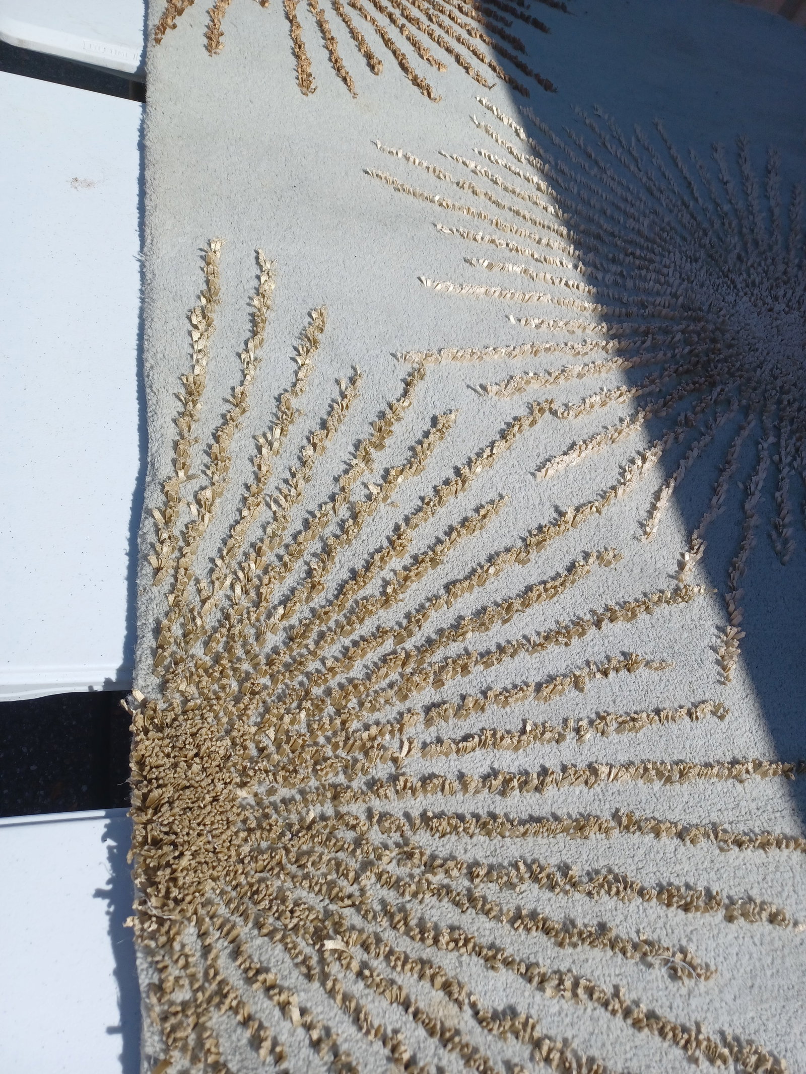 Beautiful Wool Area Rug - 5