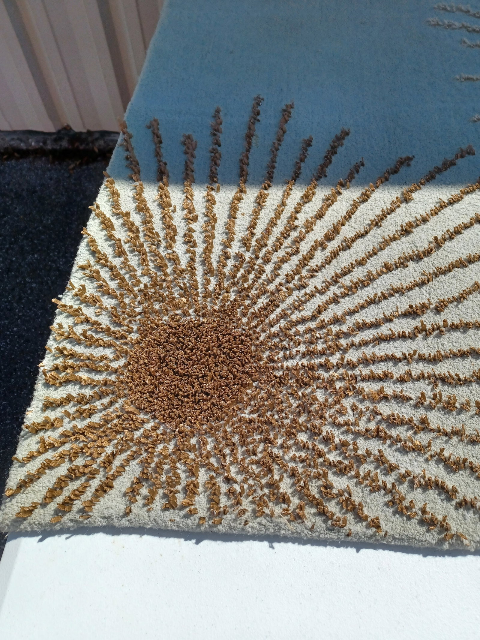 Beautiful Wool Area Rug - 6