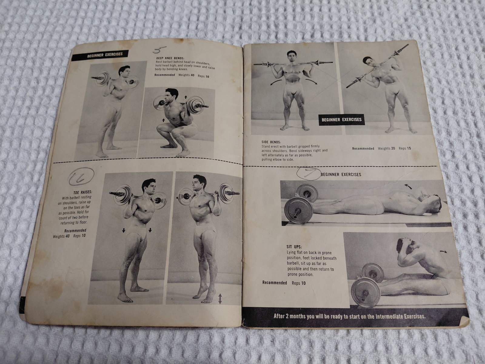 Mid Century Golden Triumph Training Course by Billiard Barbell Company / as seen - 4
