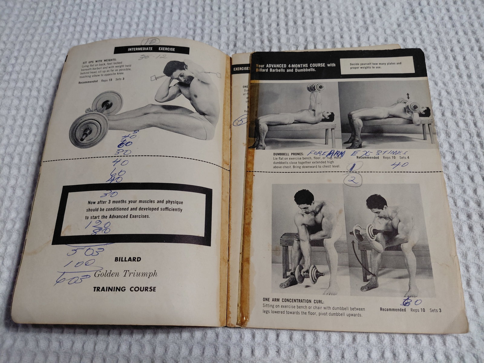 Mid Century Golden Triumph Training Course by Billiard Barbell Company / as seen - 5