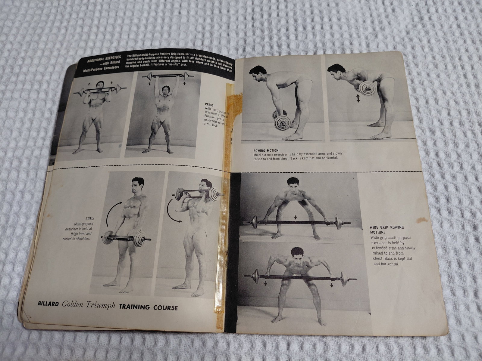 Mid Century Golden Triumph Training Course by Billiard Barbell Company / as seen - 6