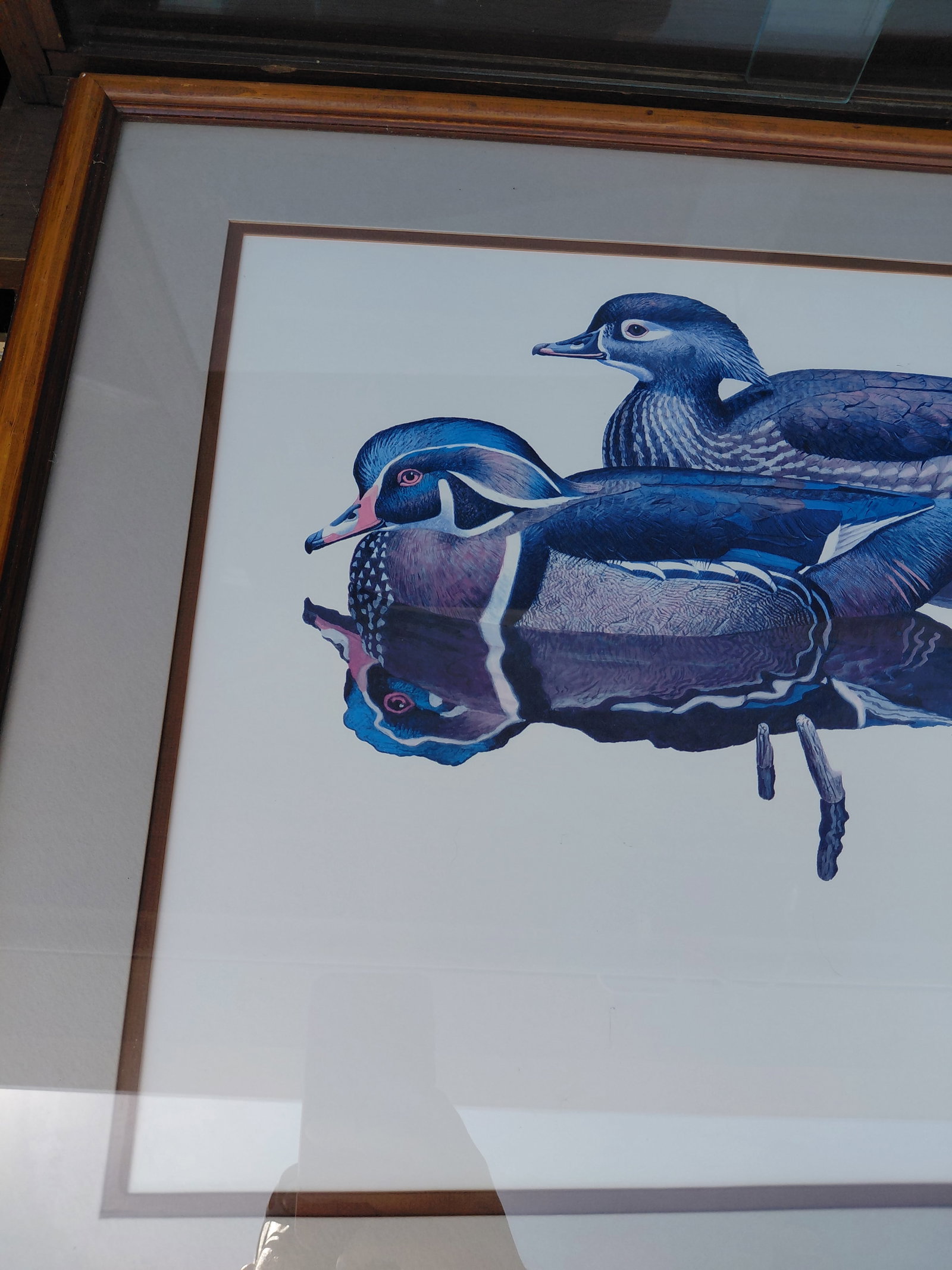 Framed Ducks Print by Brian Wheeler 1981 - 4