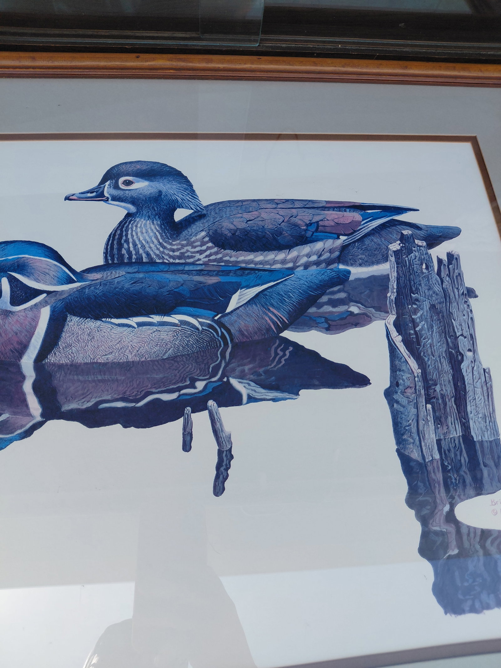 Framed Ducks Print by Brian Wheeler 1981 - 5