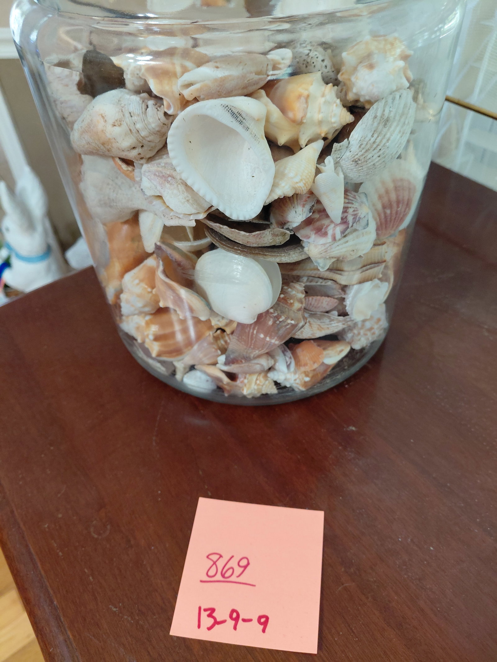Large General Store Canister Jar filled with Sea Shells - 2