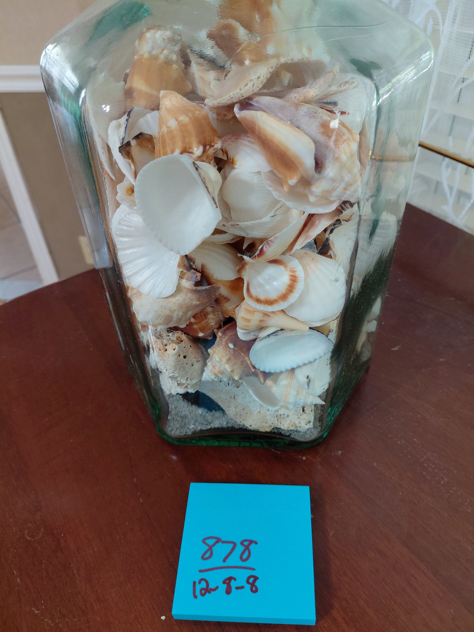 Large Octagon Shaped Glass Canister filled with Sea Shells - 2