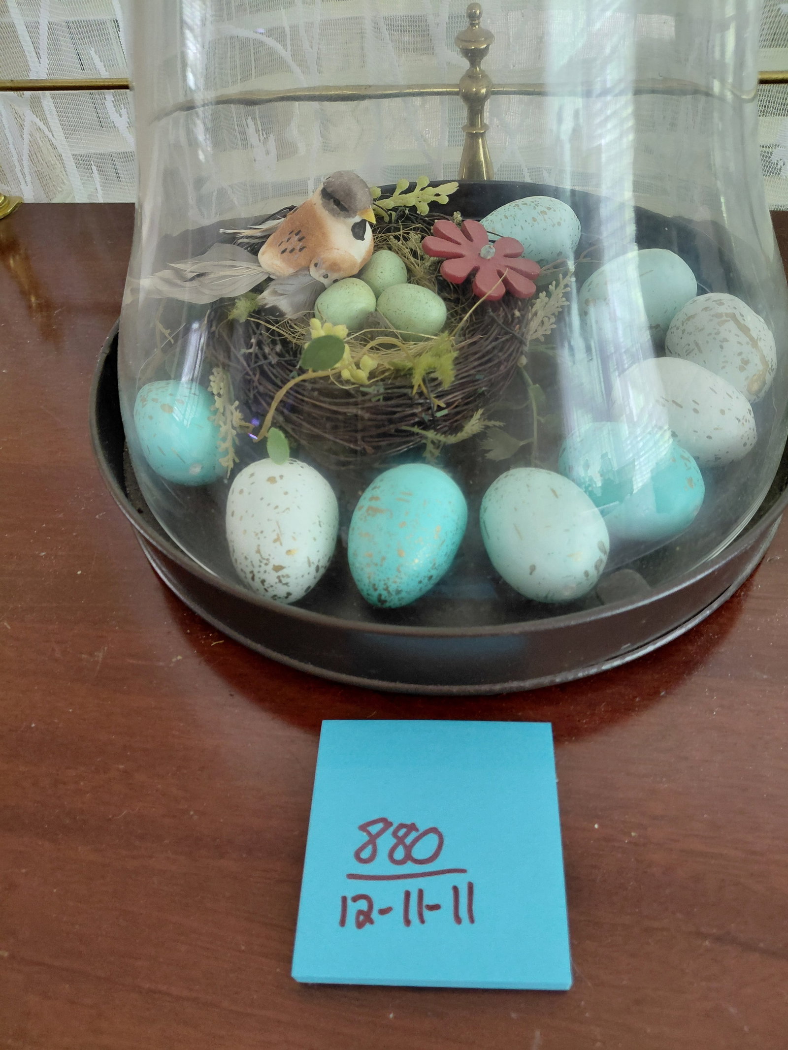 Unique Domed Display / Metal and Glass with Bird Contents - 2