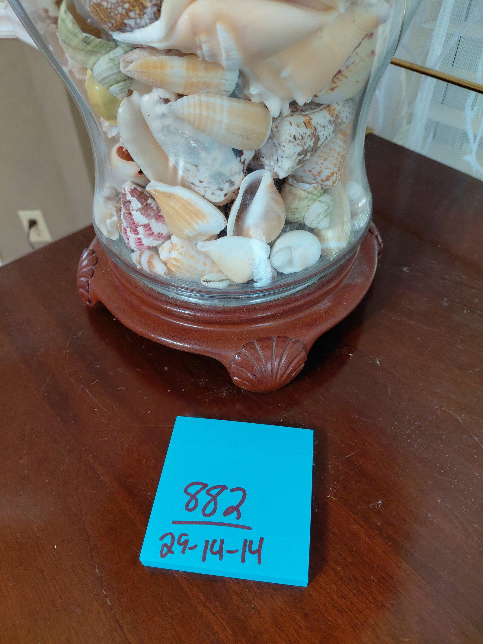 Ornate Shaded Lamp filled with Sea Shells - 3