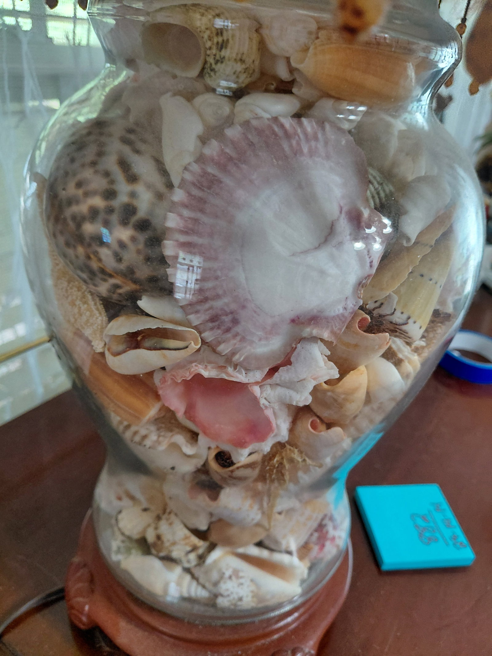 Ornate Shaded Lamp filled with Sea Shells - 7