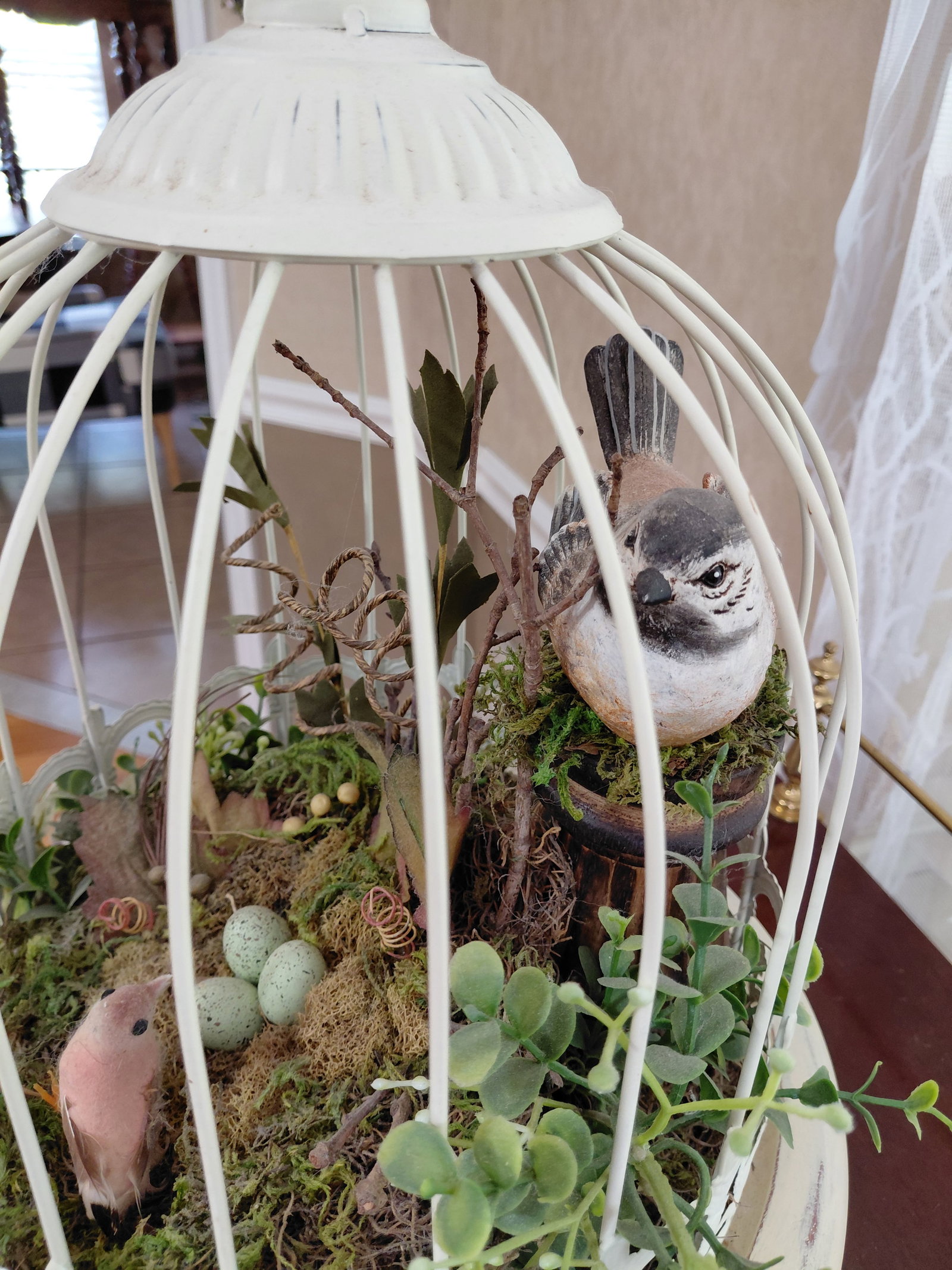 Metal and Wood Bird Cage Pedestal with Bird Contents - 3