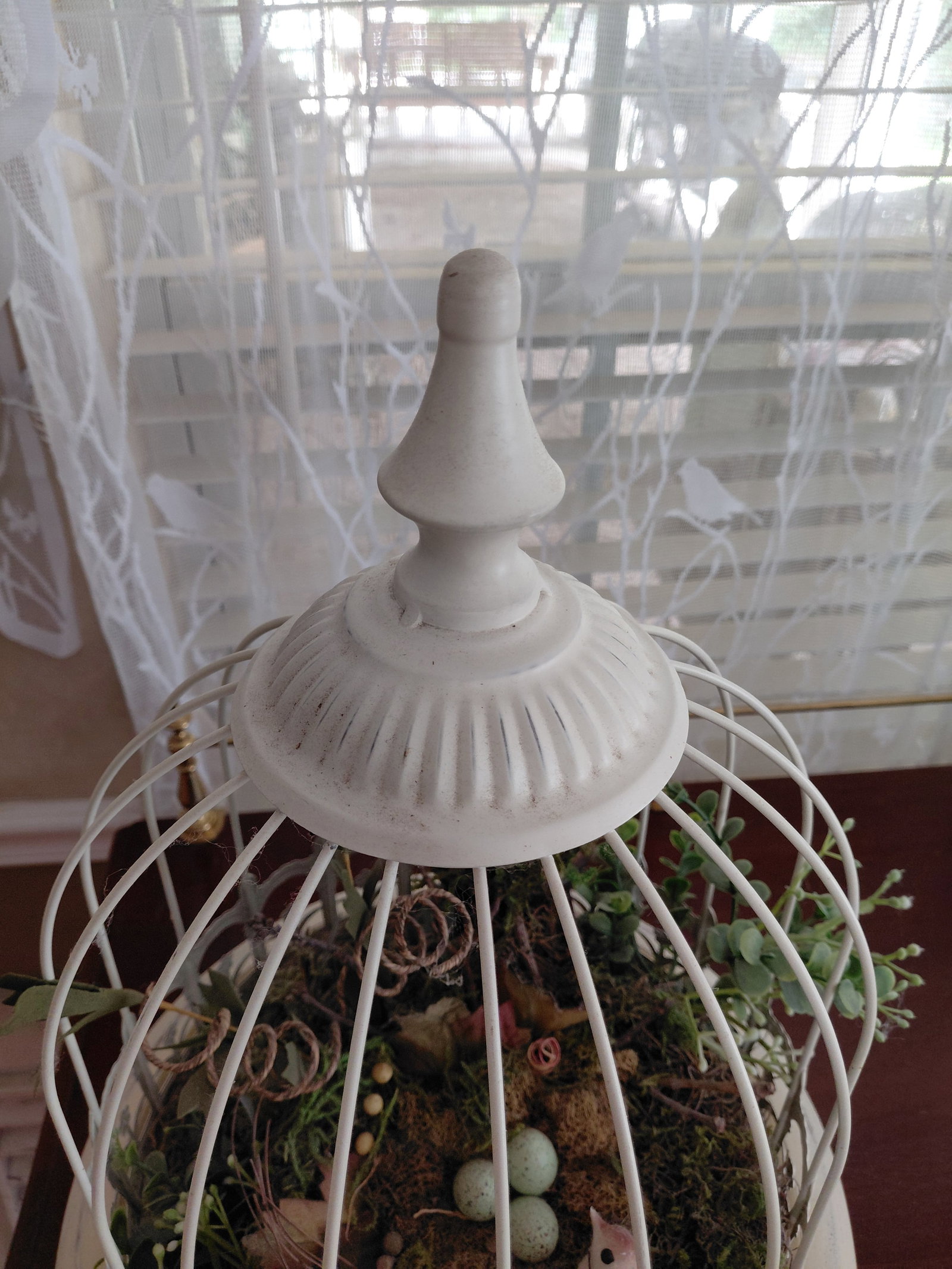 Metal and Wood Bird Cage Pedestal with Bird Contents - 5