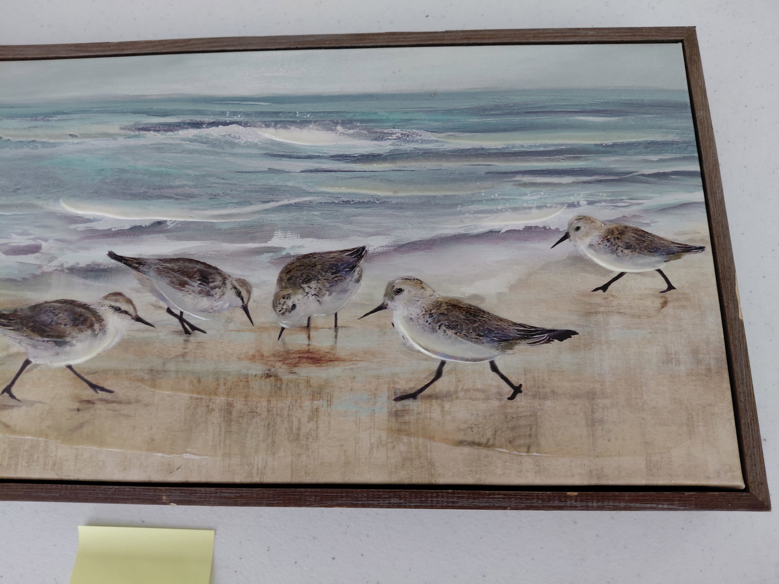 Sea Gulls Wall Art - 2