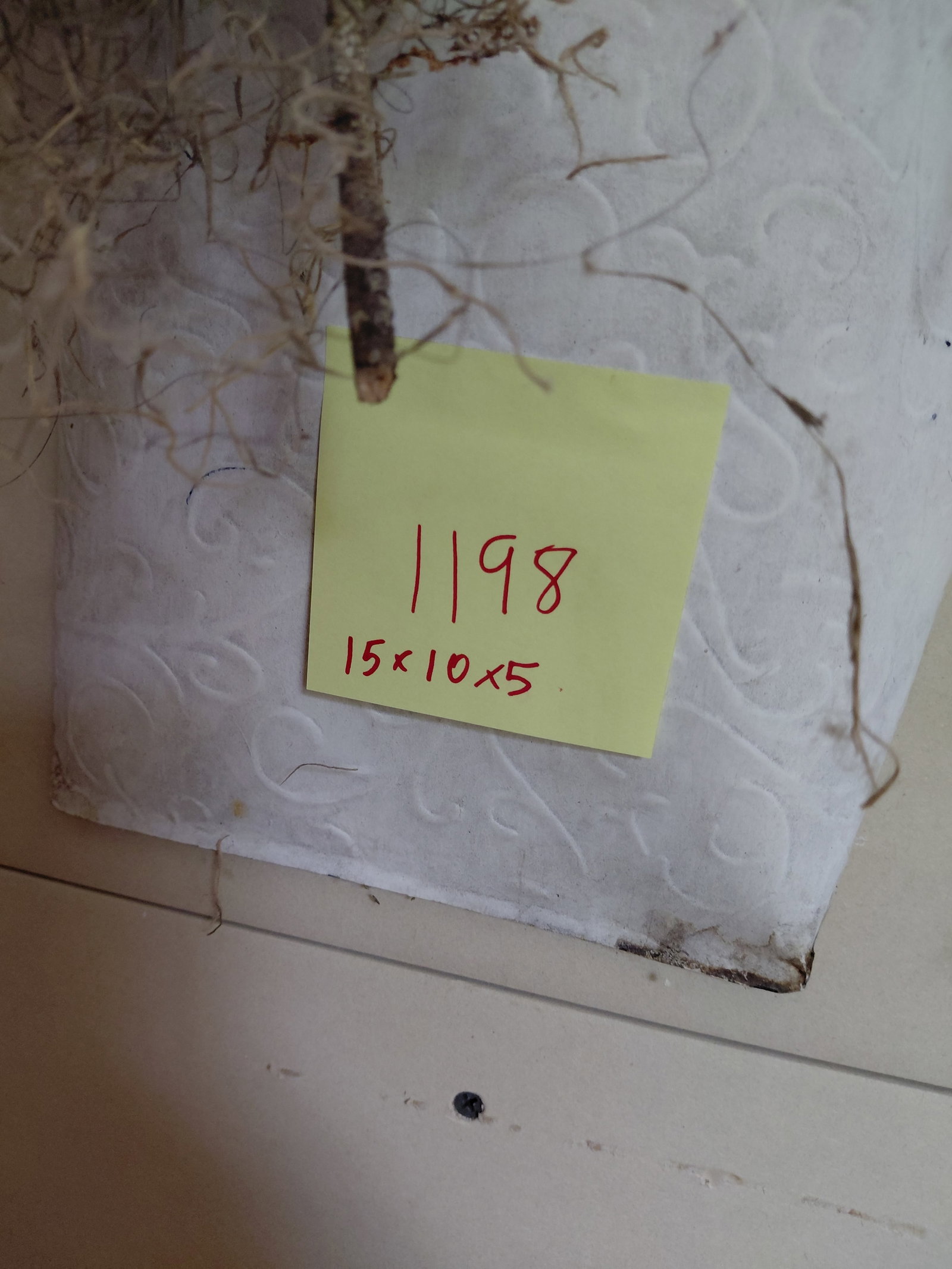 Bird in Nest in Metal Wall Pocket - 2
