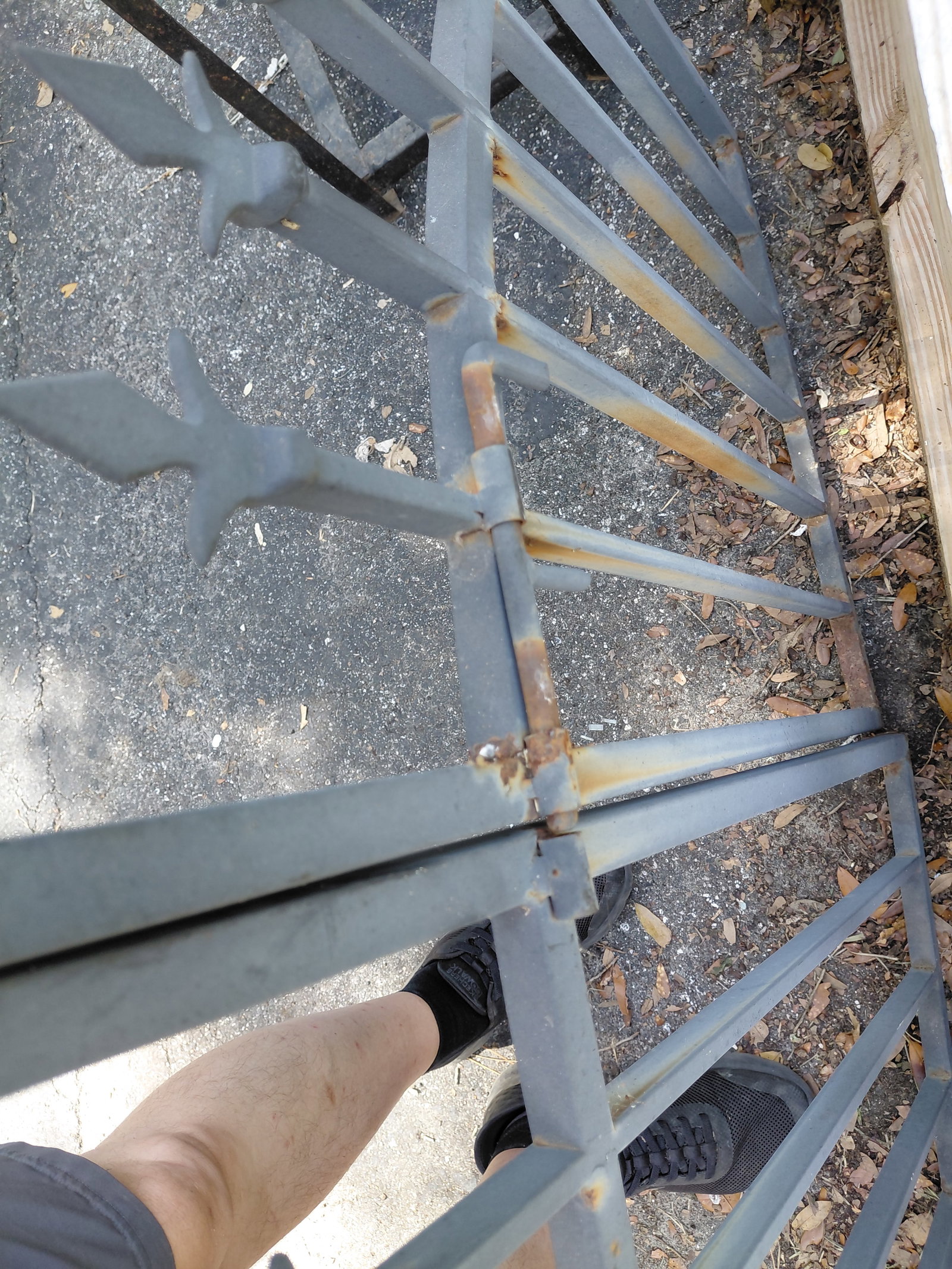 Pair of Metal Garden Gate Doors / as seen - 3