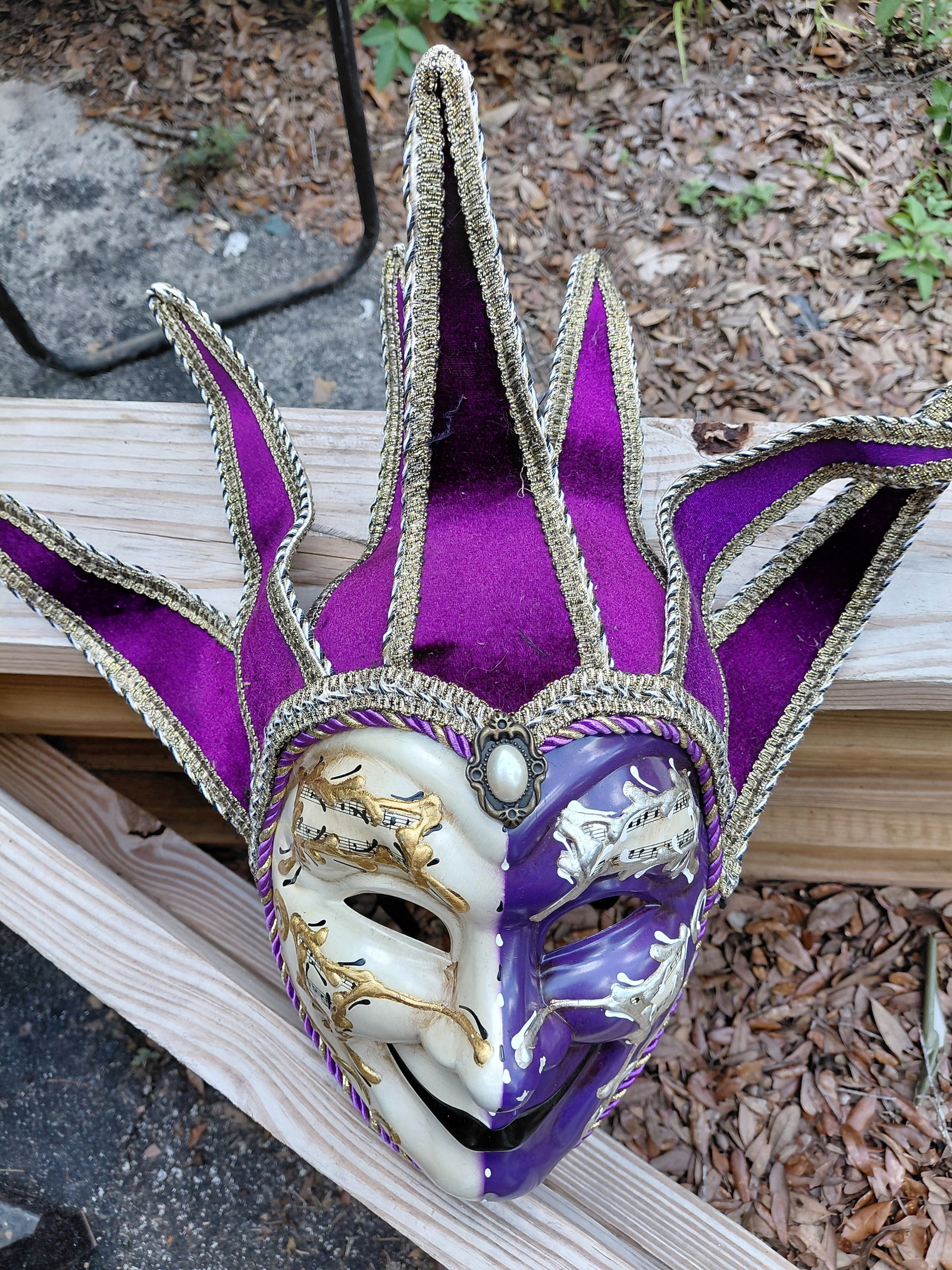 Mardi Gras Mask / Crack as seen but not visible - 2