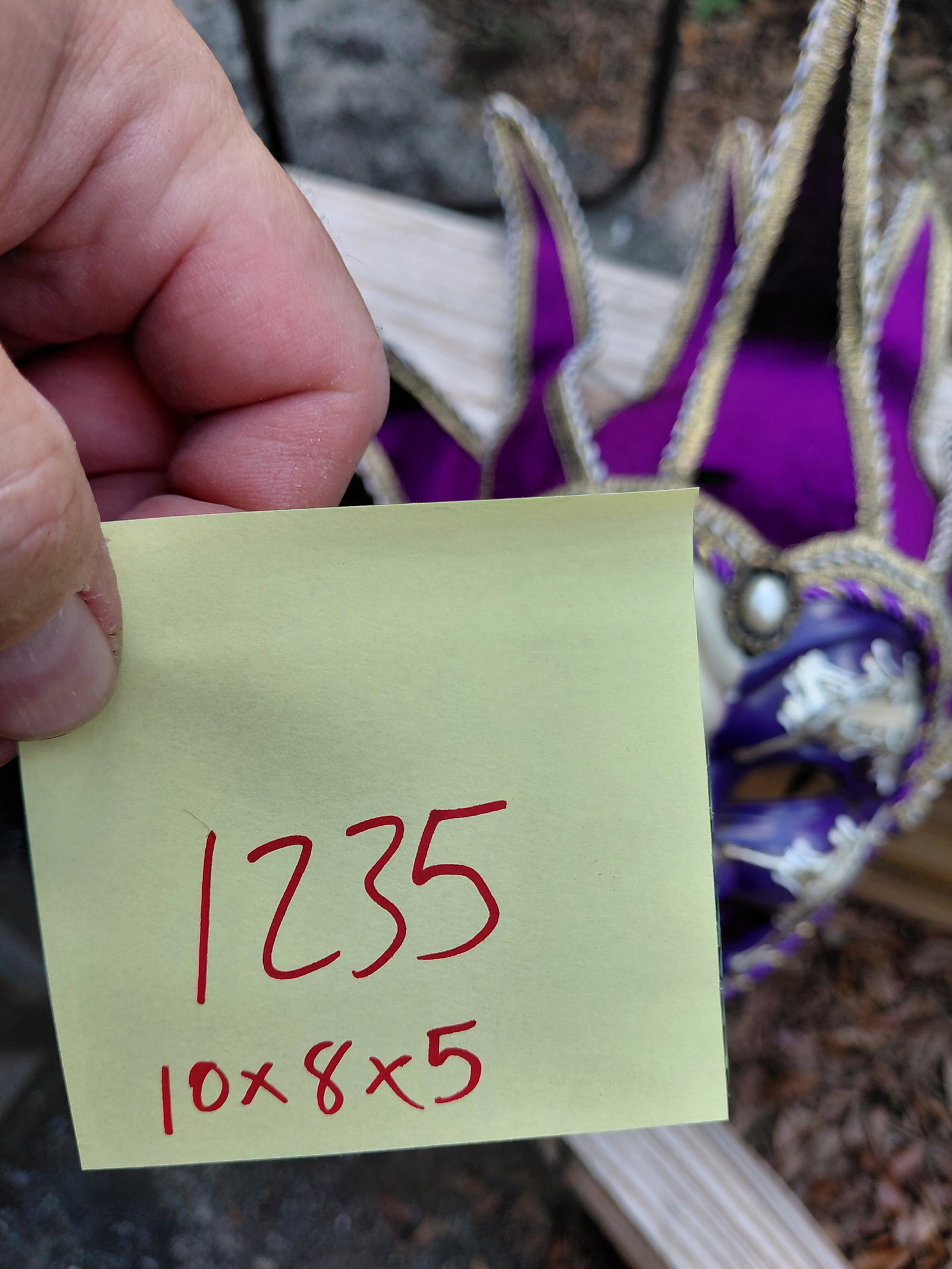 Mardi Gras Mask / Crack as seen but not visible - 3