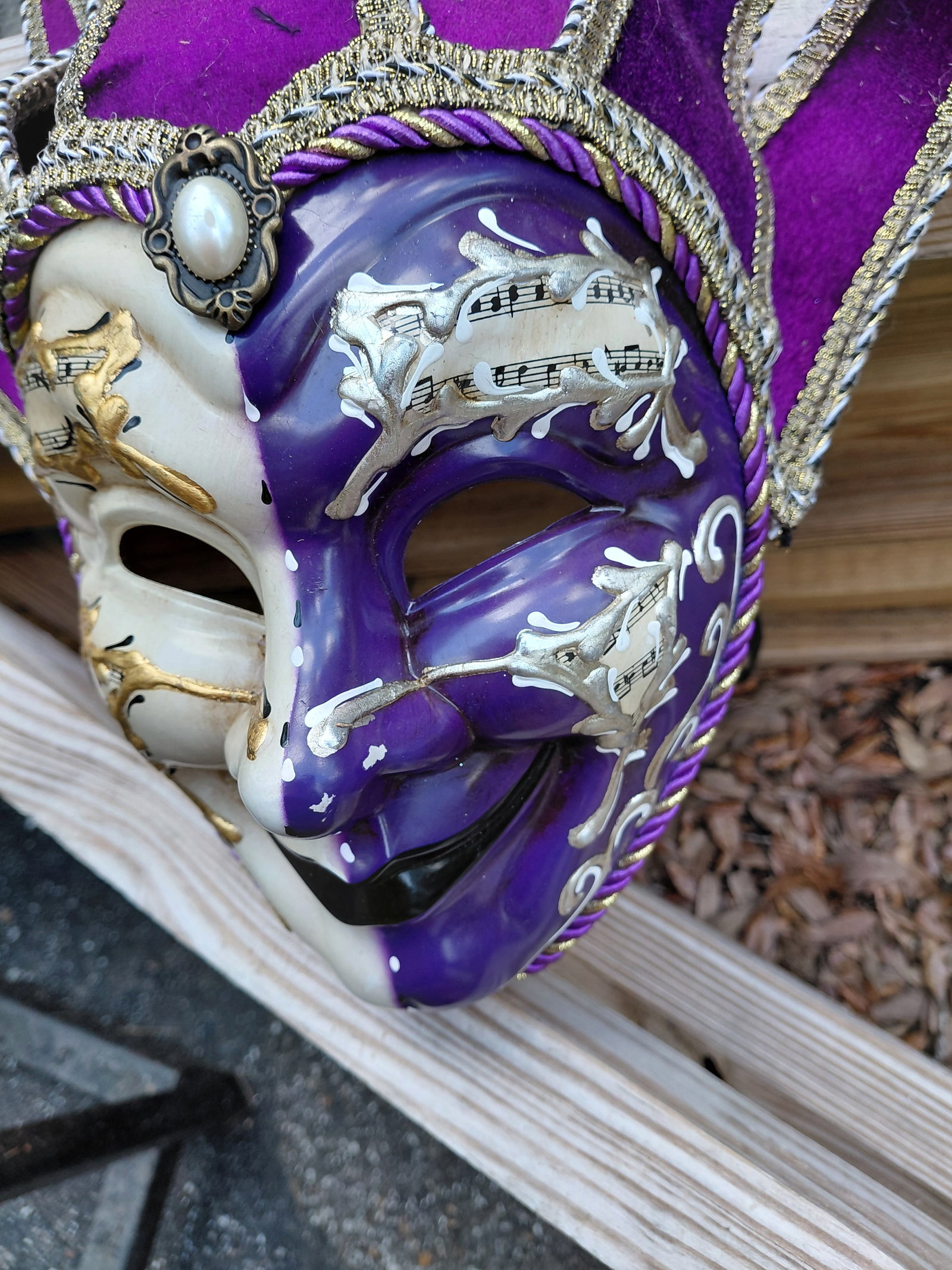 Mardi Gras Mask / Crack as seen but not visible - 5