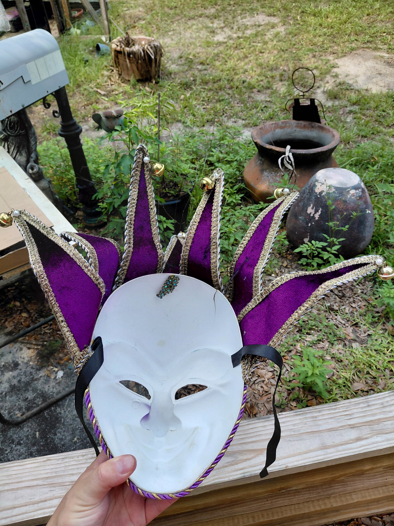 Mardi Gras Mask / Crack as seen but not visible - 7