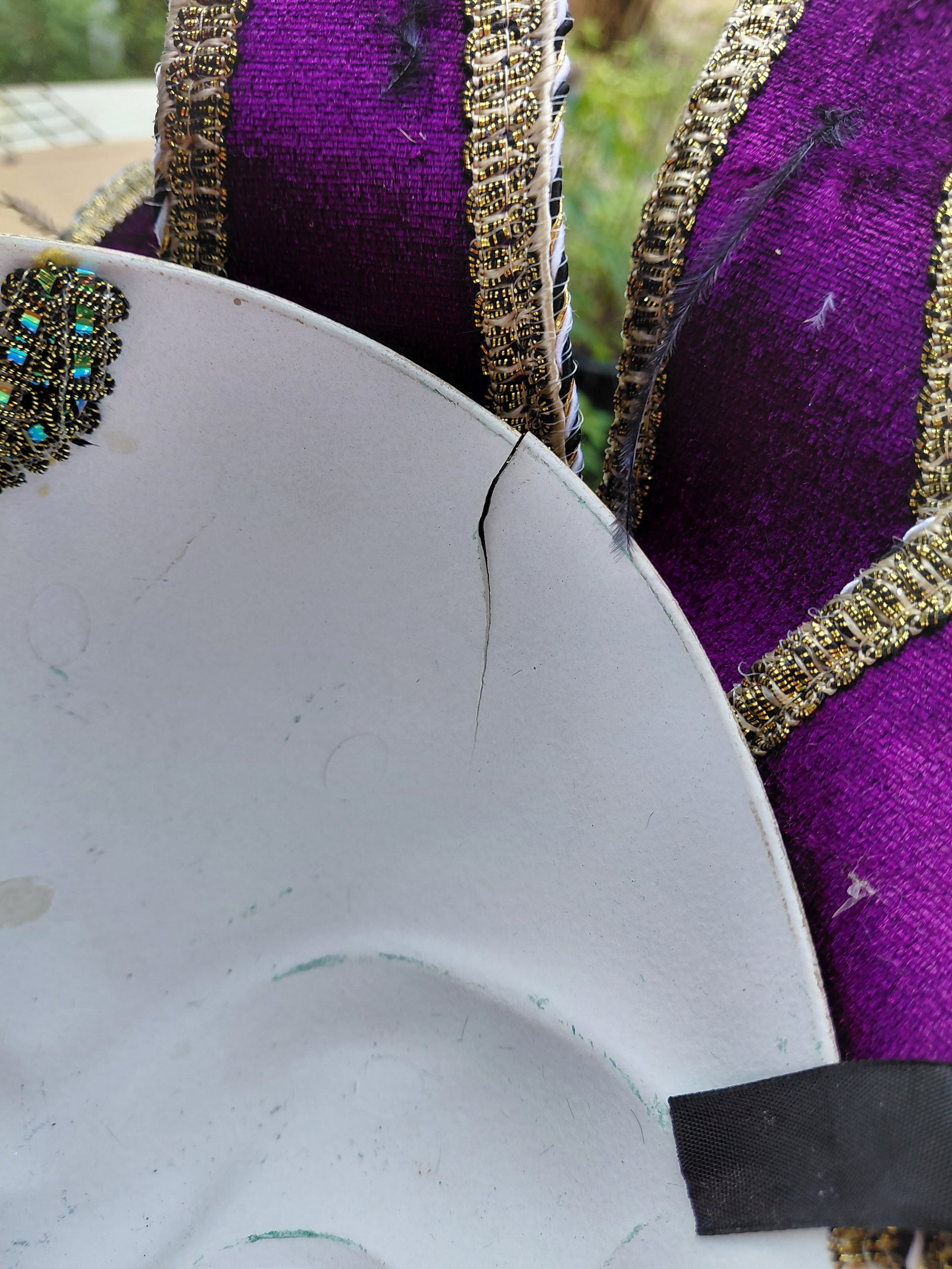 Mardi Gras Mask / Crack as seen but not visible - 8