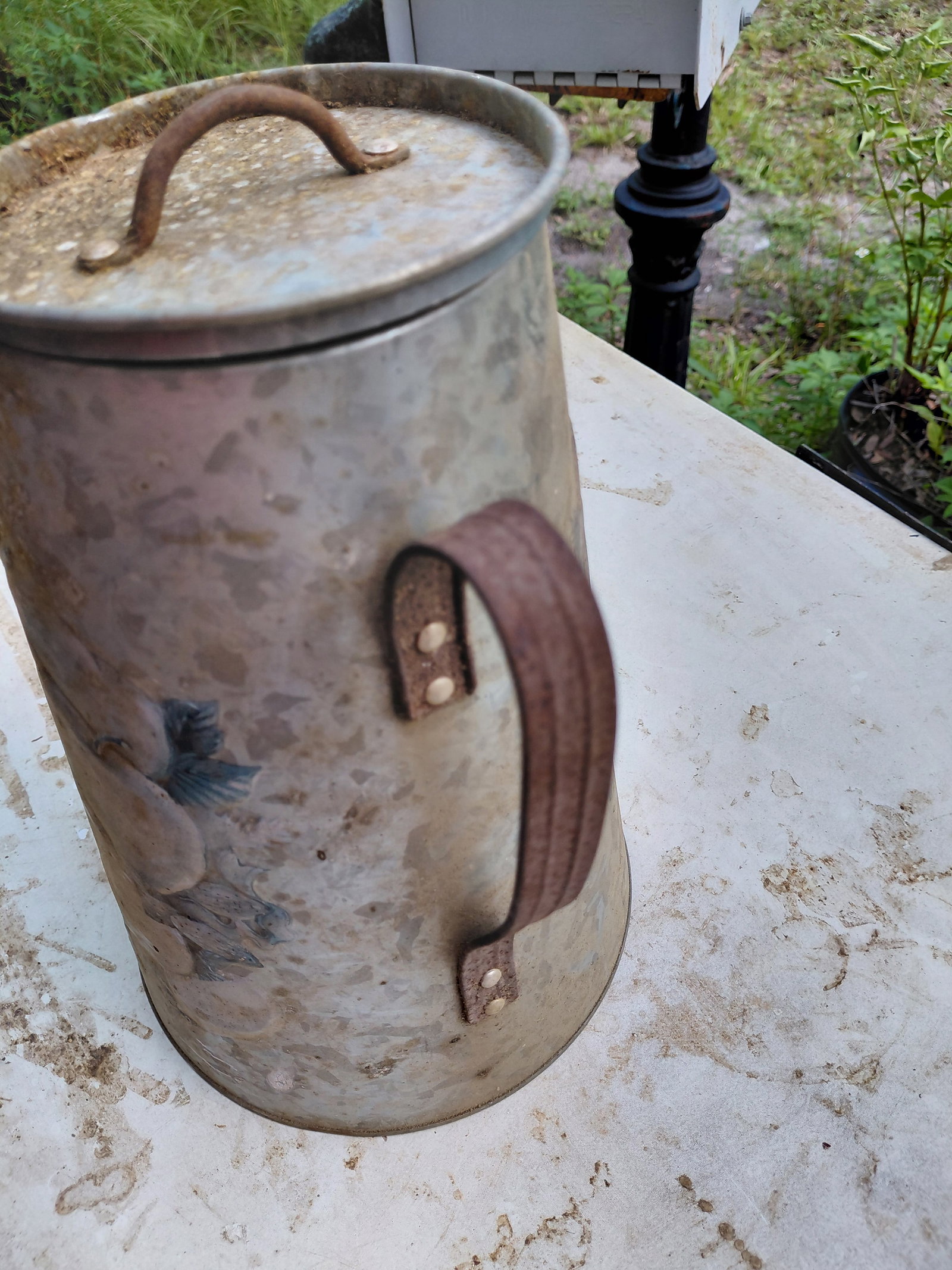 Decorative Metal Coffee Kettle - 6
