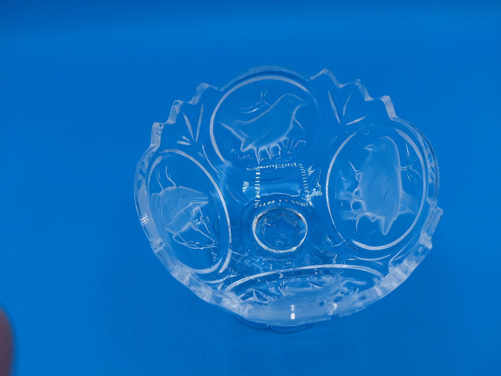 French Frosted Compote by Crystal Darquis / one flea bite as seen - 4